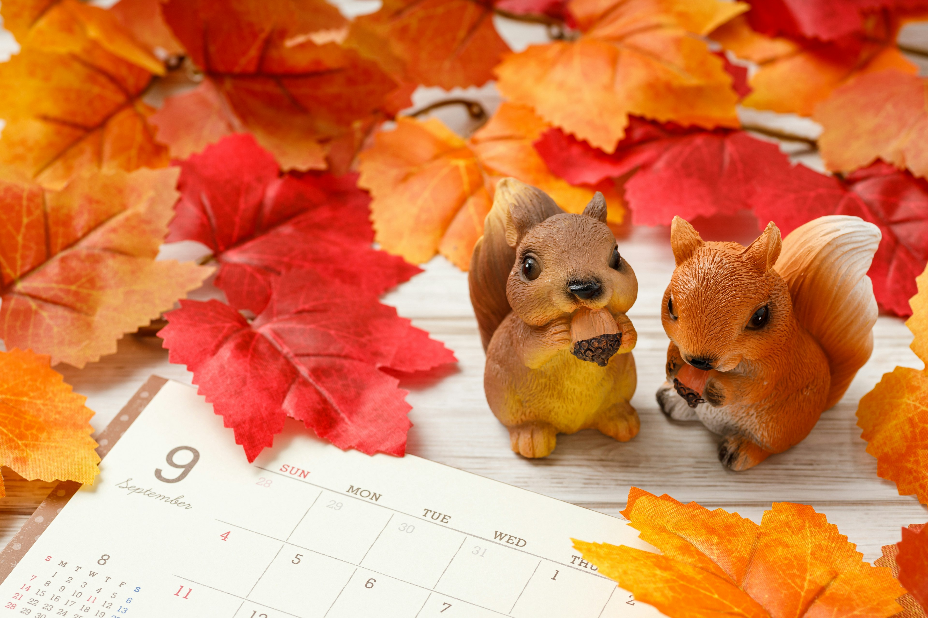 Two squirrel figurines on a calendar surrounded by orange autumn leaves