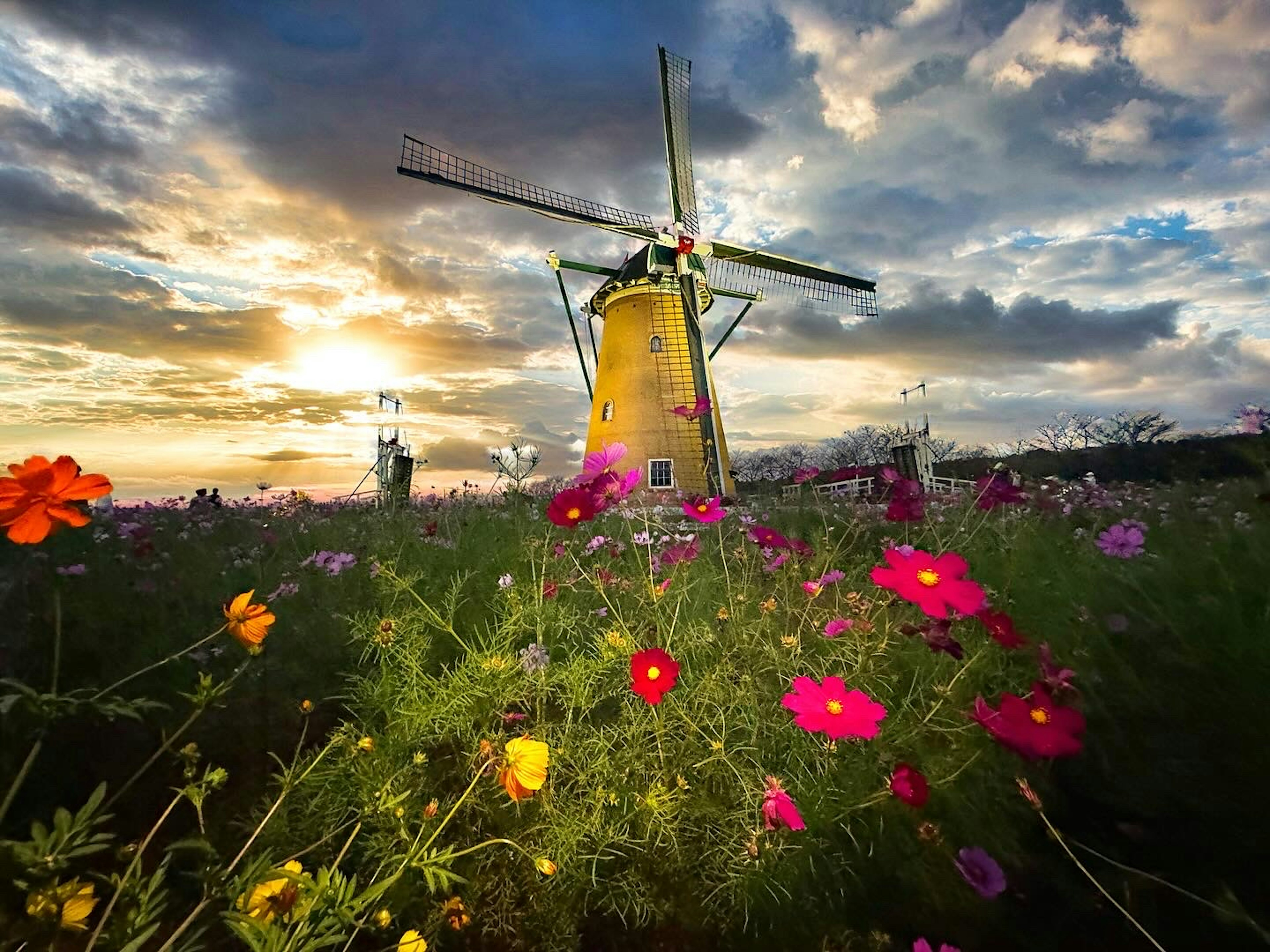 Eine malerische Aussicht auf eine Windmühle umgeben von bunten Blumen bei Sonnenuntergang