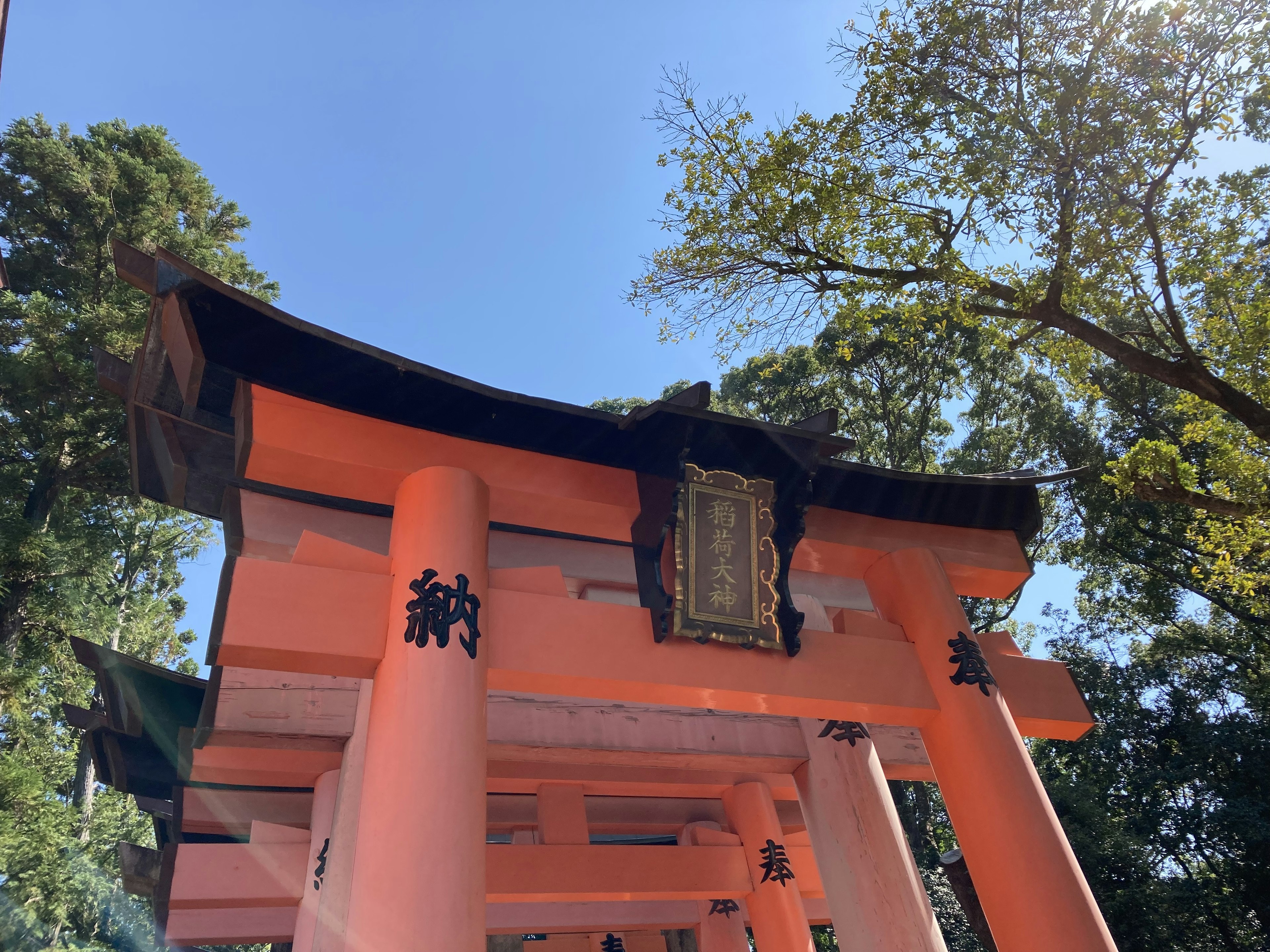 Una foto de una puerta torii naranja bajo un cielo azul