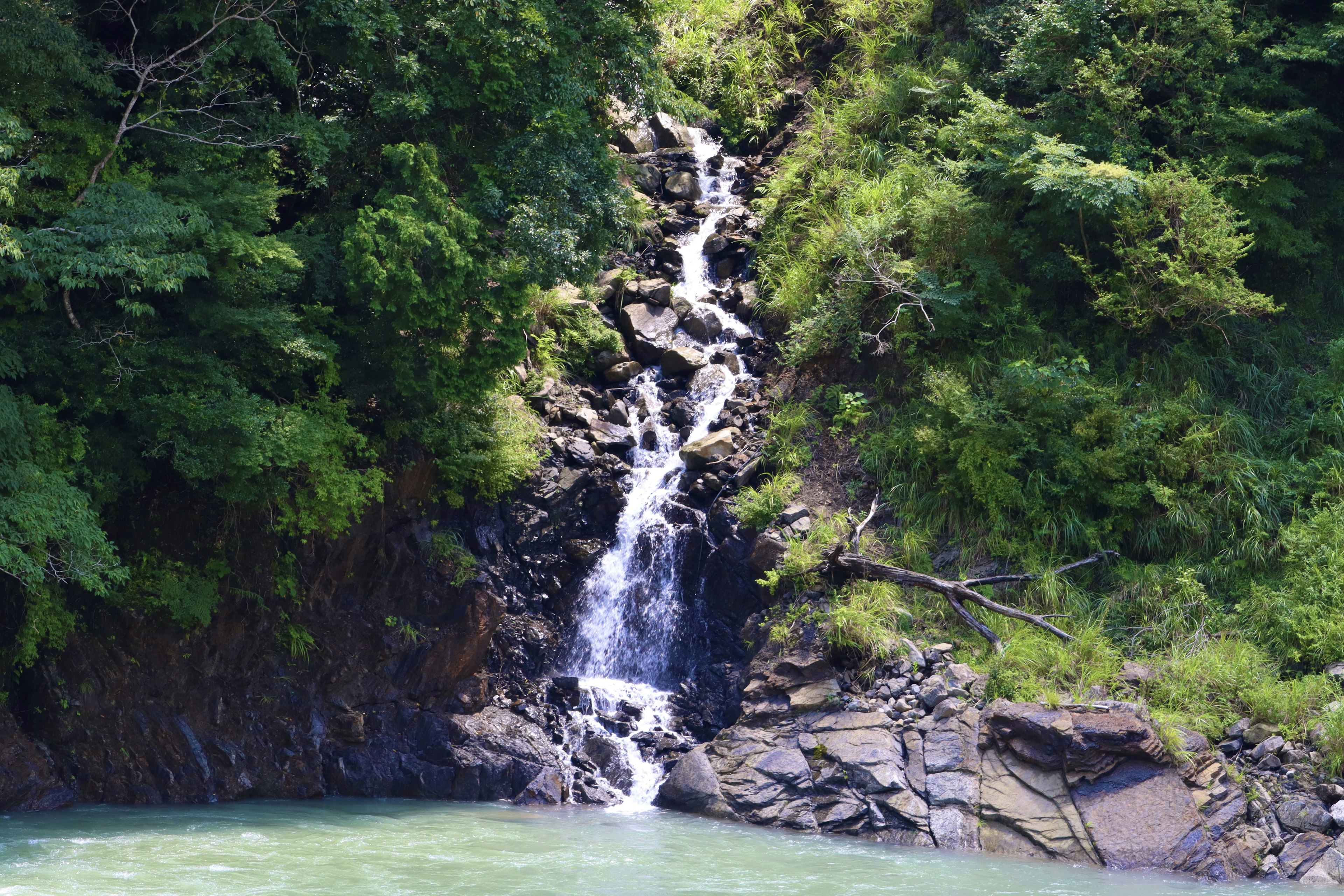 緑豊かな森に囲まれた小さな滝が流れ落ちる風景