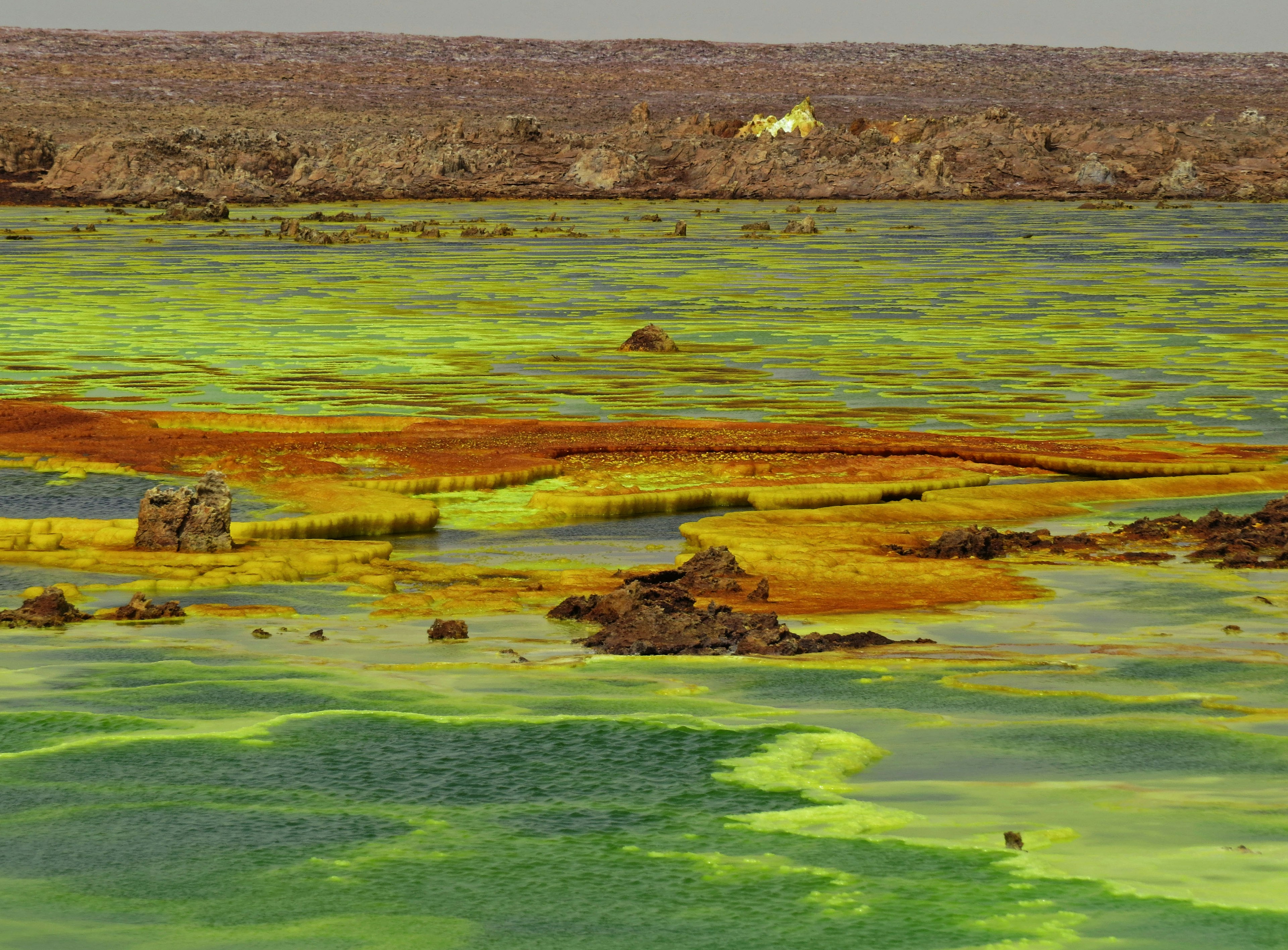 Paesaggio vibrante con superficie d'acqua colorata che presenta tonalità verdi e arancioni