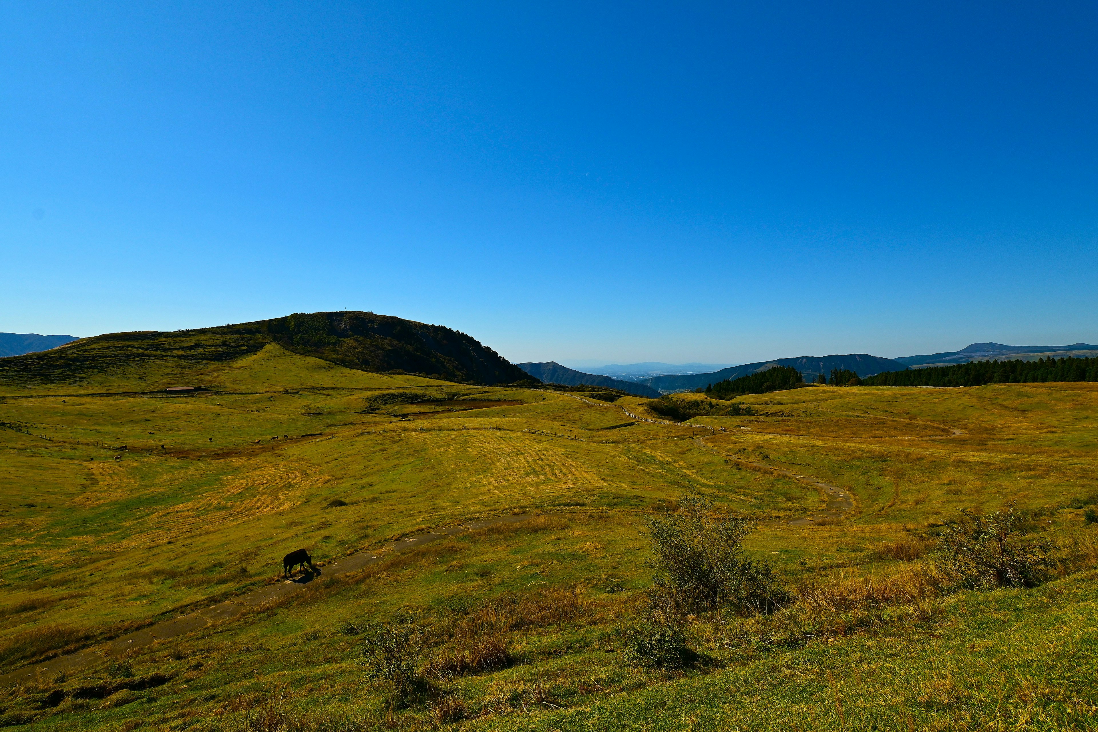 Amplio prado verde bajo un cielo azul claro