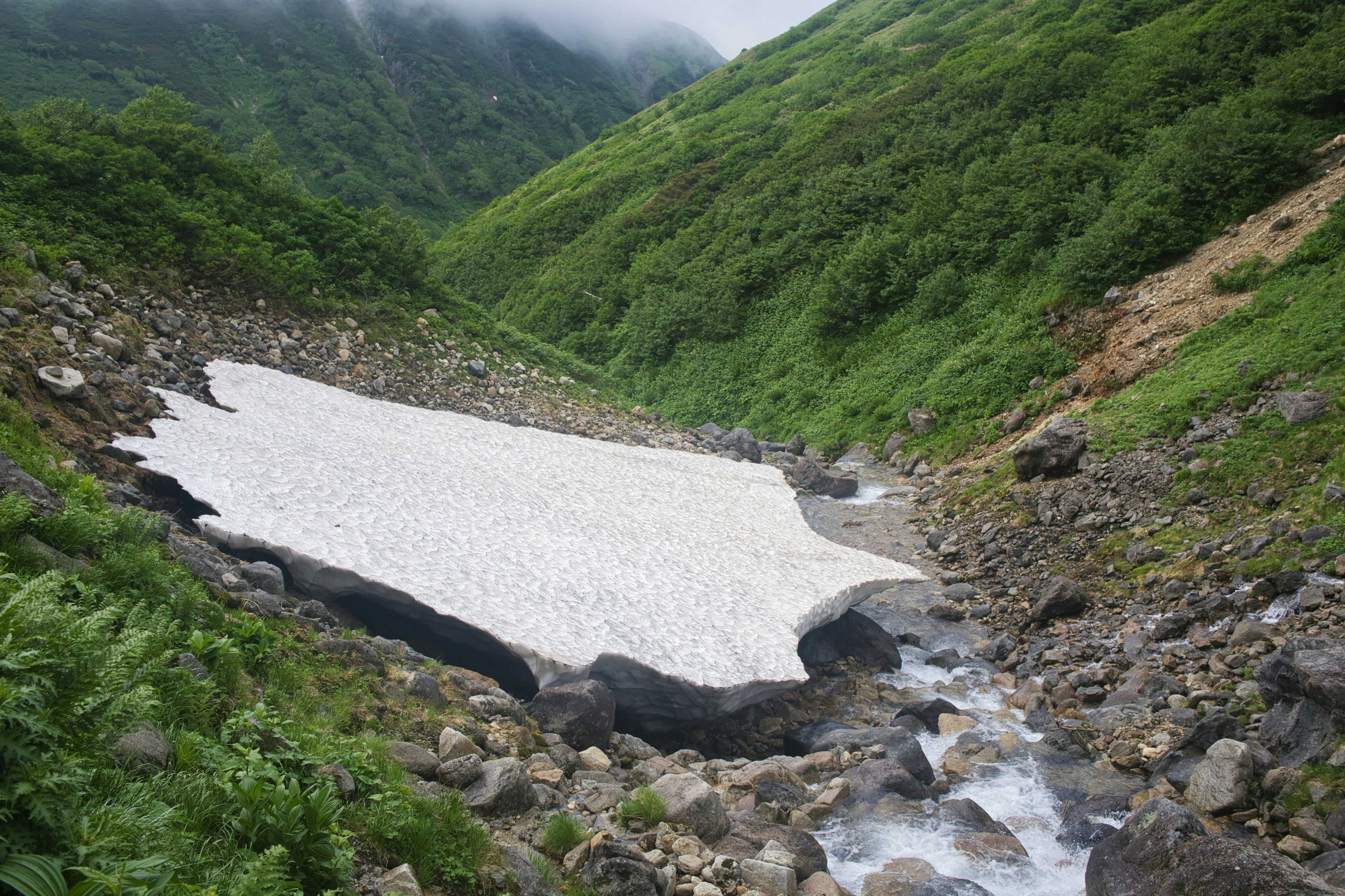 Parche de nieve derritiéndose en un paisaje montañoso verde