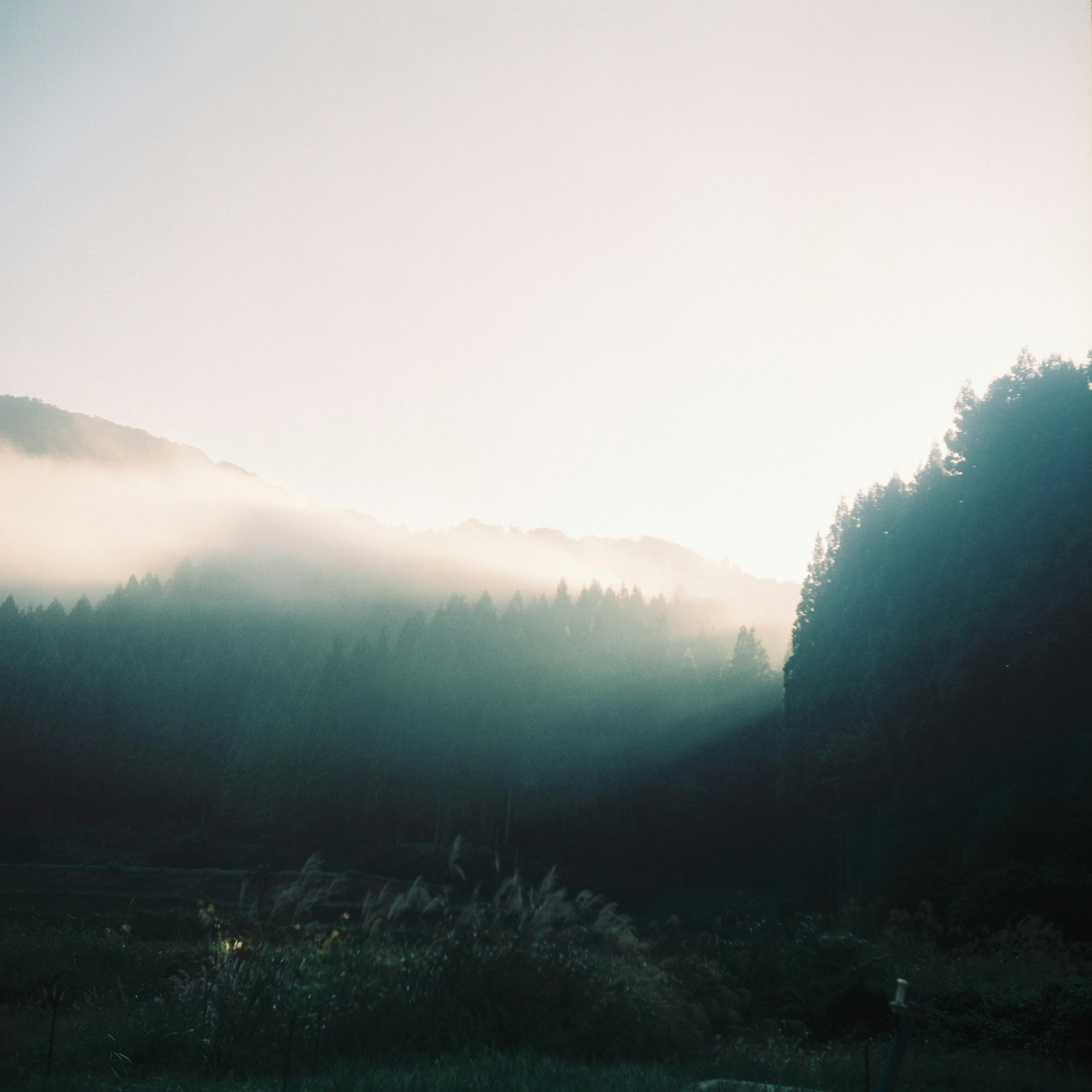 霧氣籠罩的山景與柔和的晨光