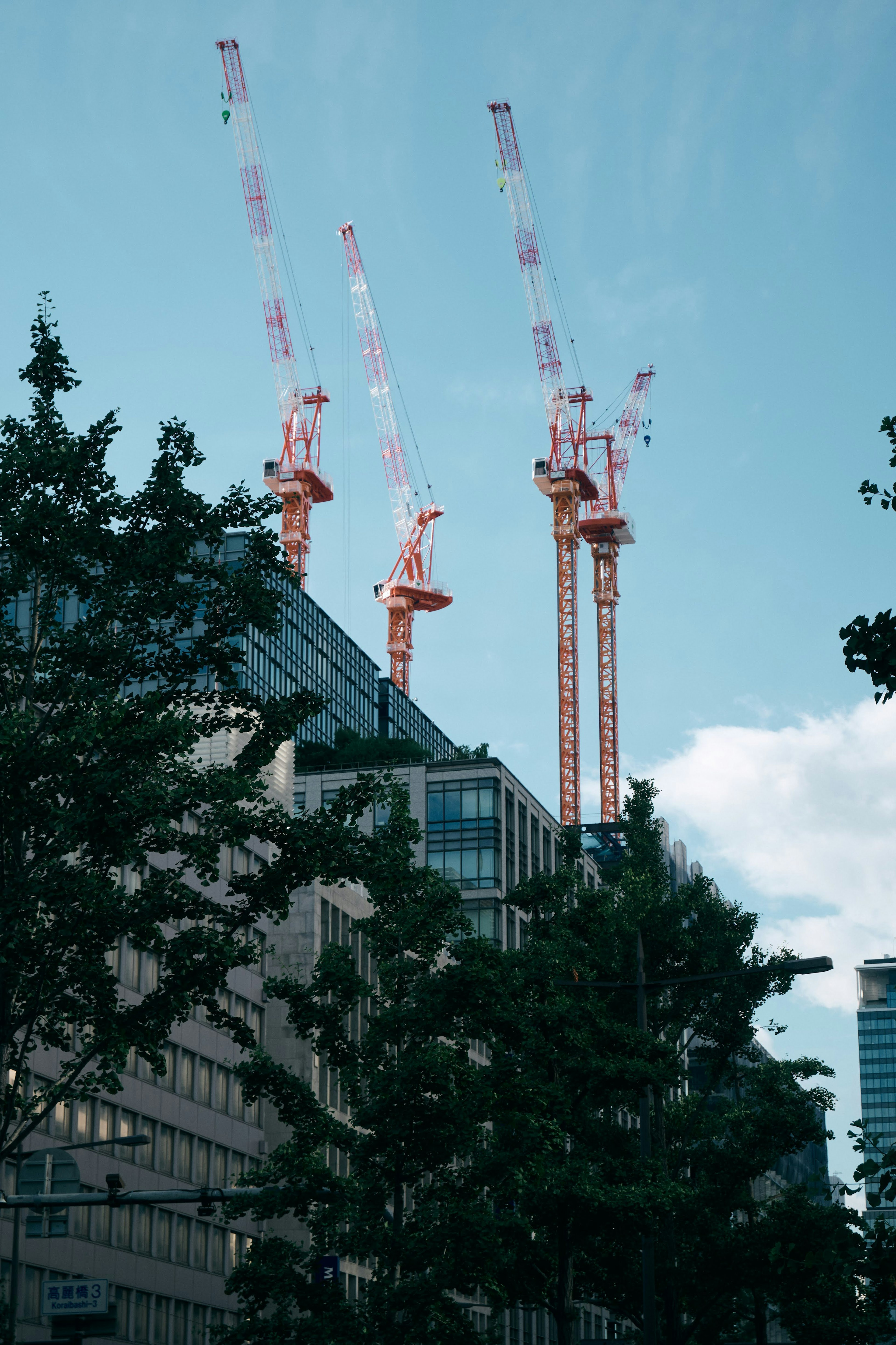 Horizonte urbano con grúas de construcción bajo un cielo azul