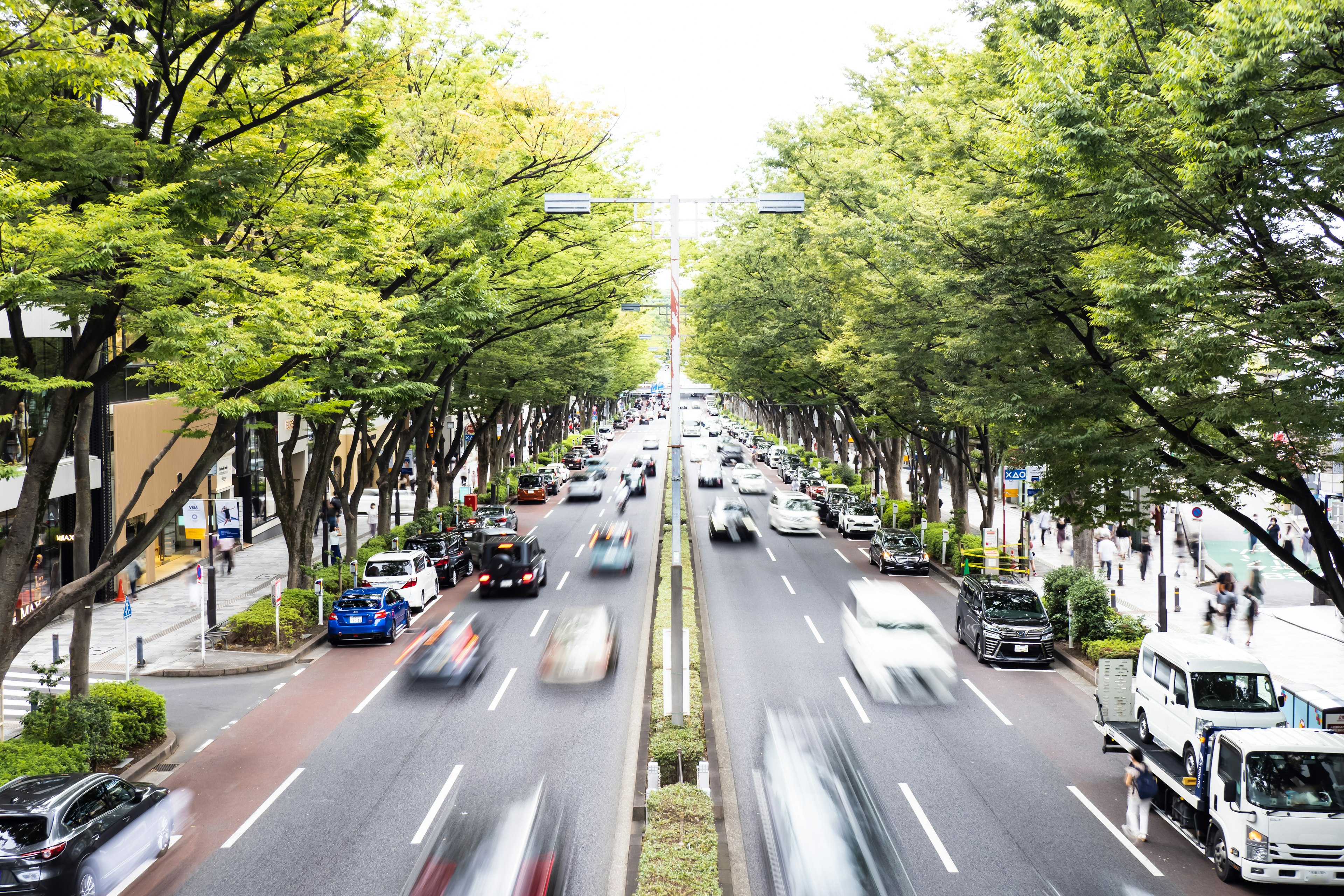 緑の木々に囲まれた都市の通りと流れる車の交通