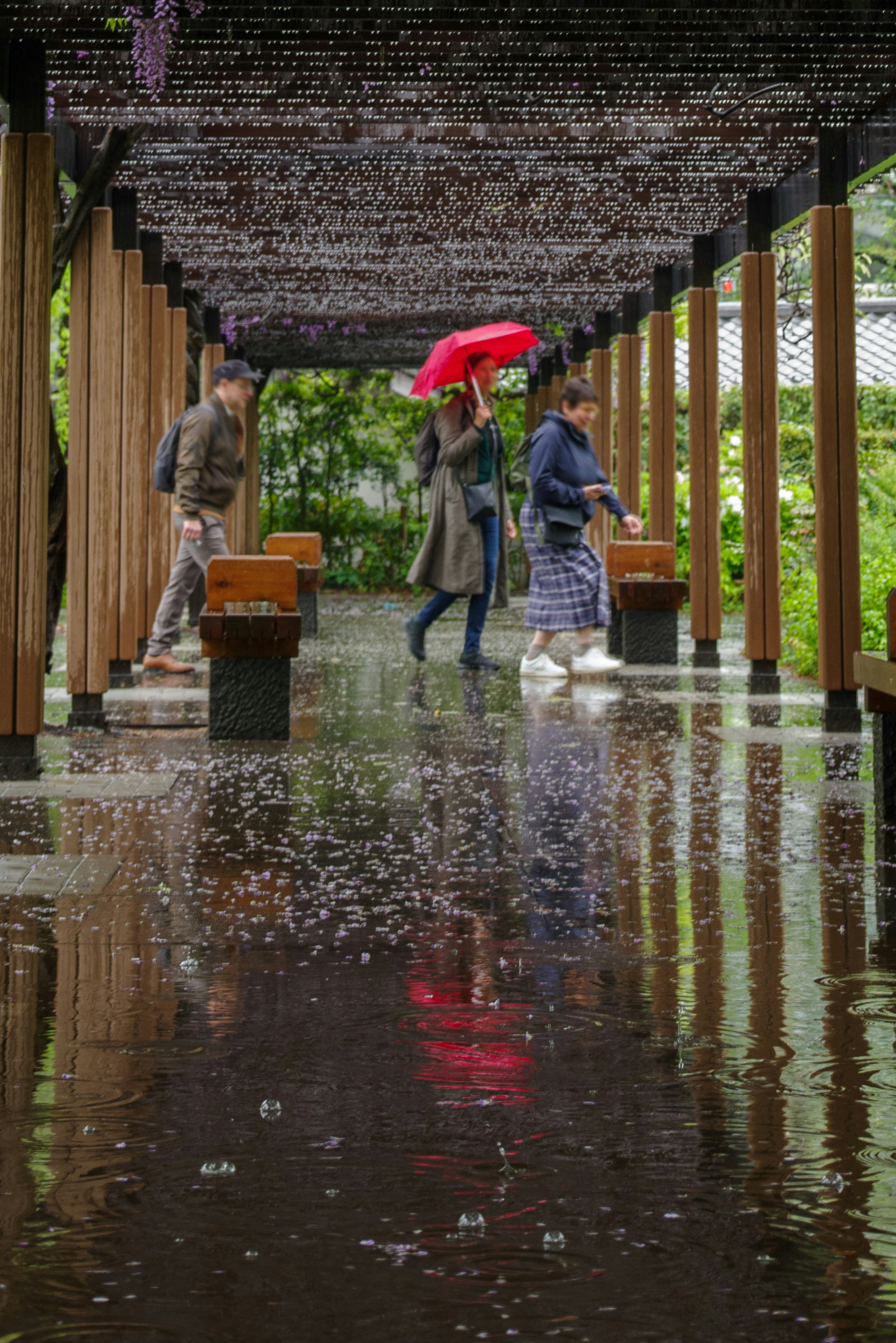 雨の中を歩く人々と赤い傘が映る美しい景色