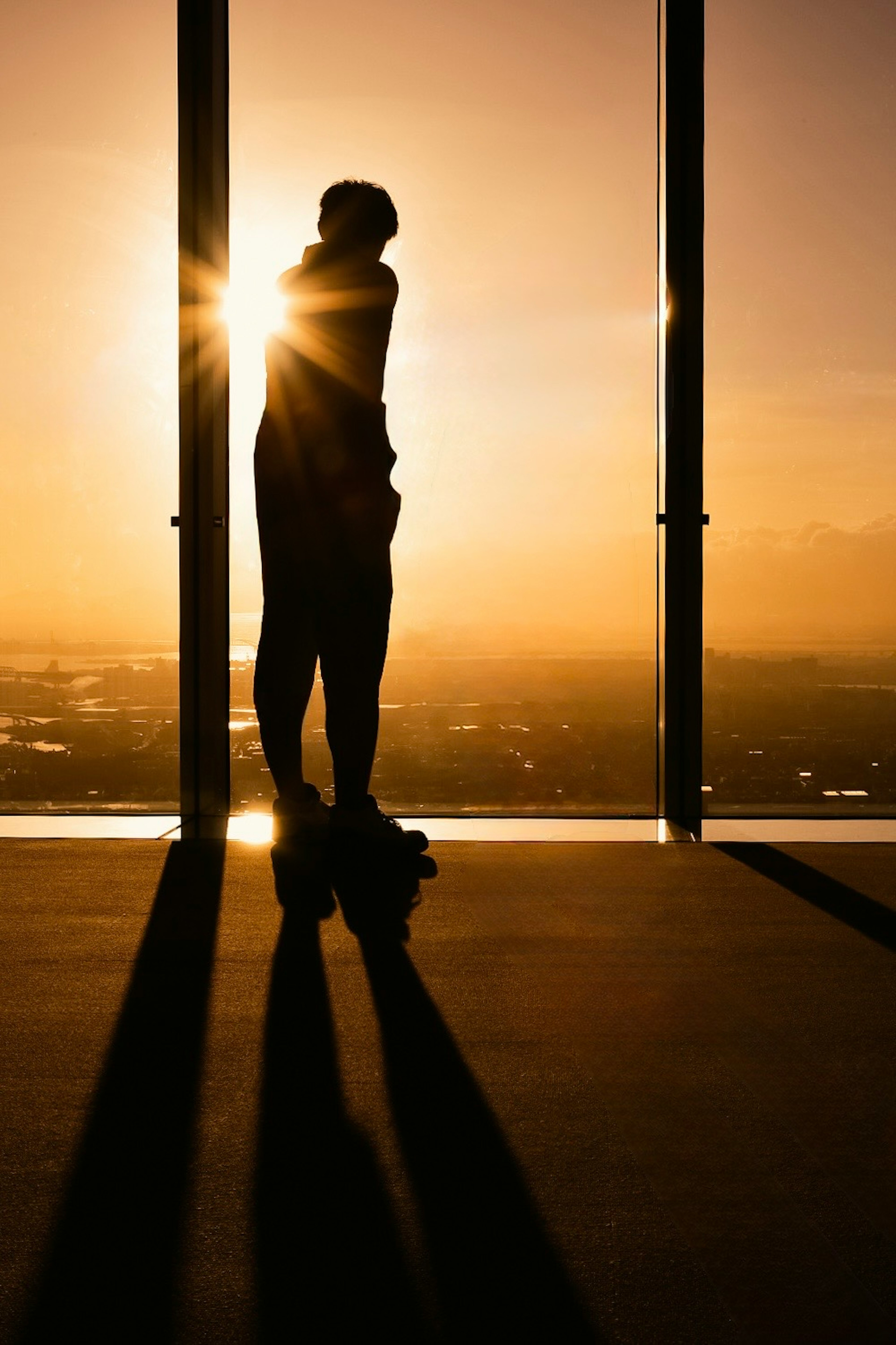 Silueta de una persona de pie contra la vista del atardecer desde una ventana de un rascacielos