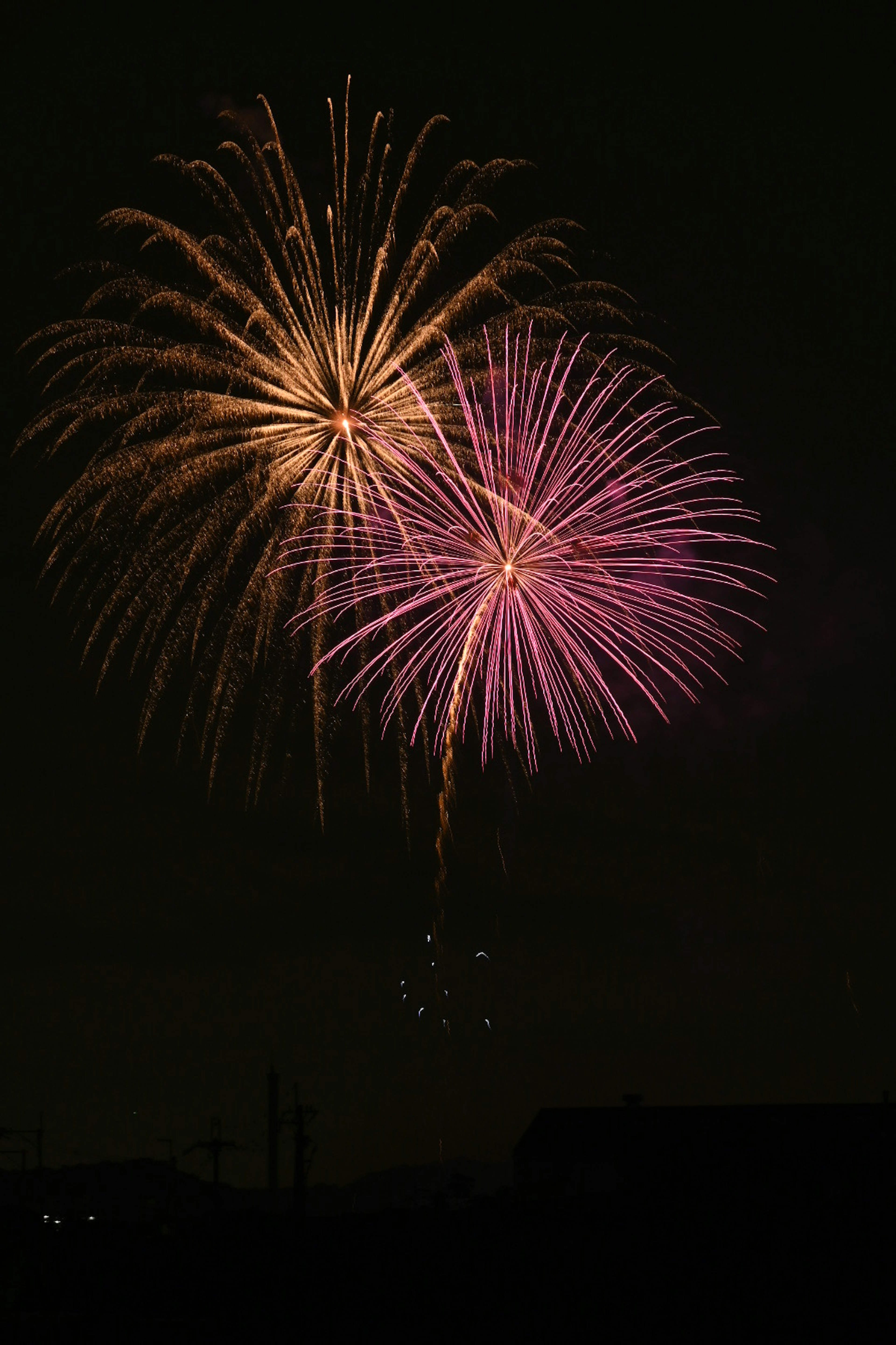 Beaux feux d'artifice fleurissant dans le ciel nocturne