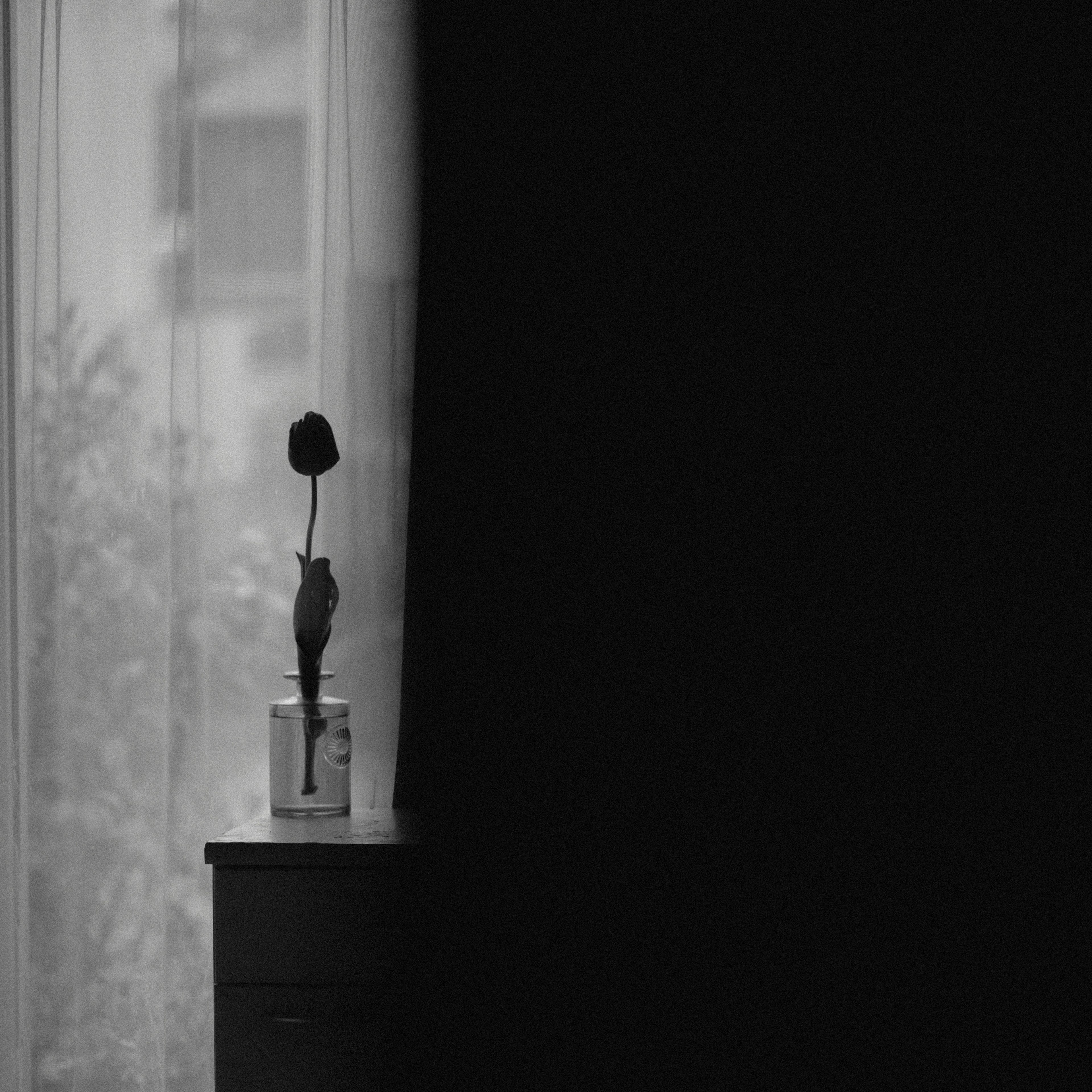 Una sola rosa en un jarrón sobre una mesa oscura cerca de una ventana con cortinas ligeras