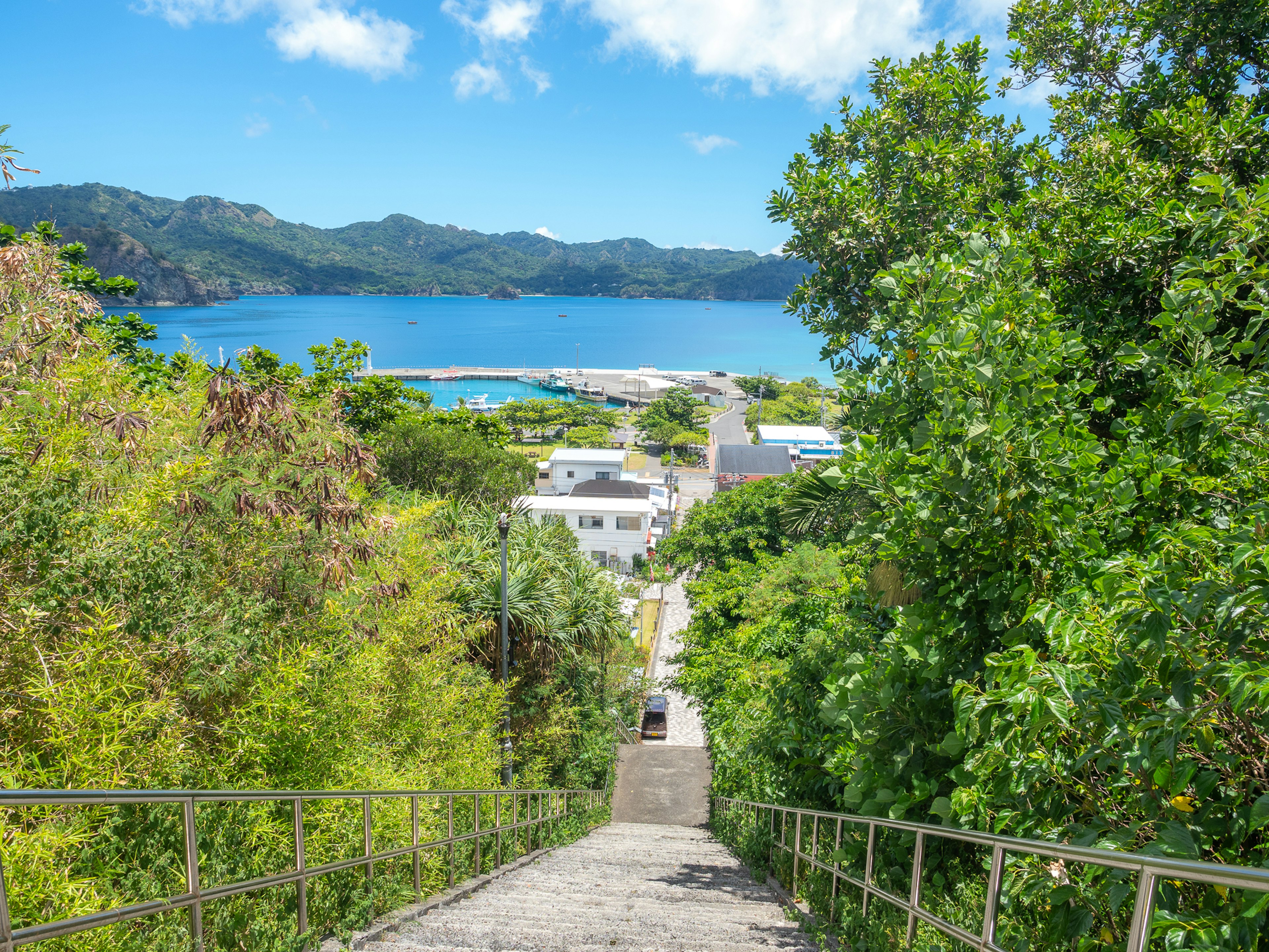 Scenic view of a town and ocean from a lush green staircase