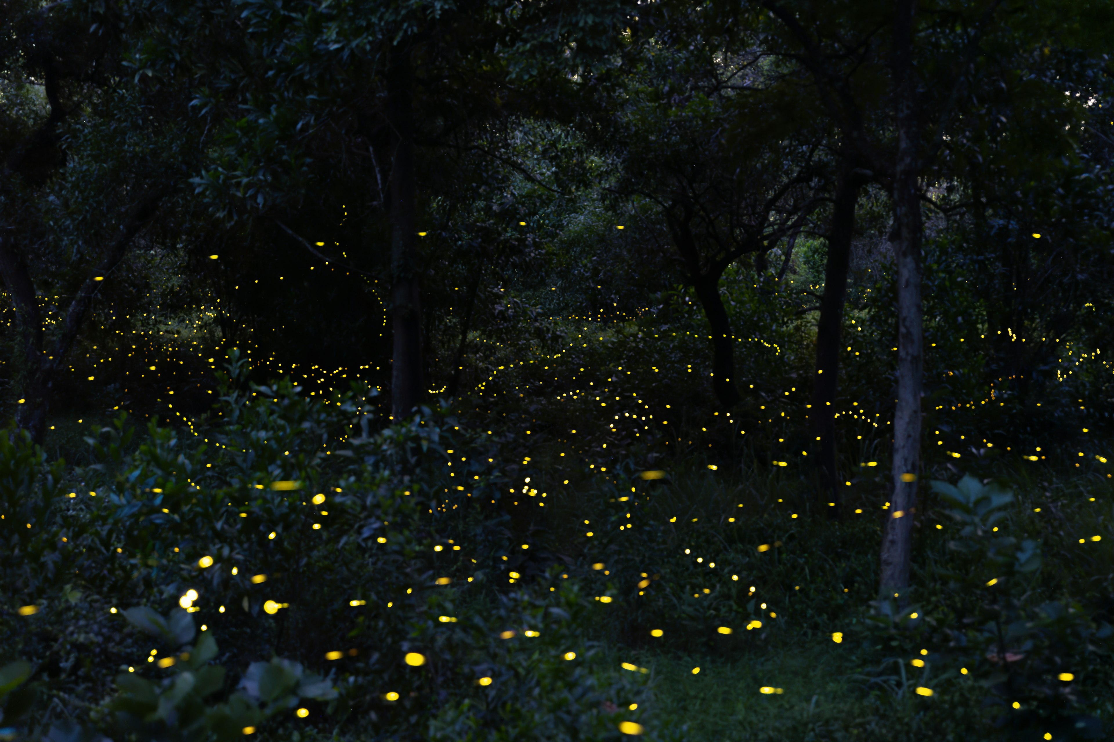 photo-6zqzrgJgJH7VPdNSmr08-image