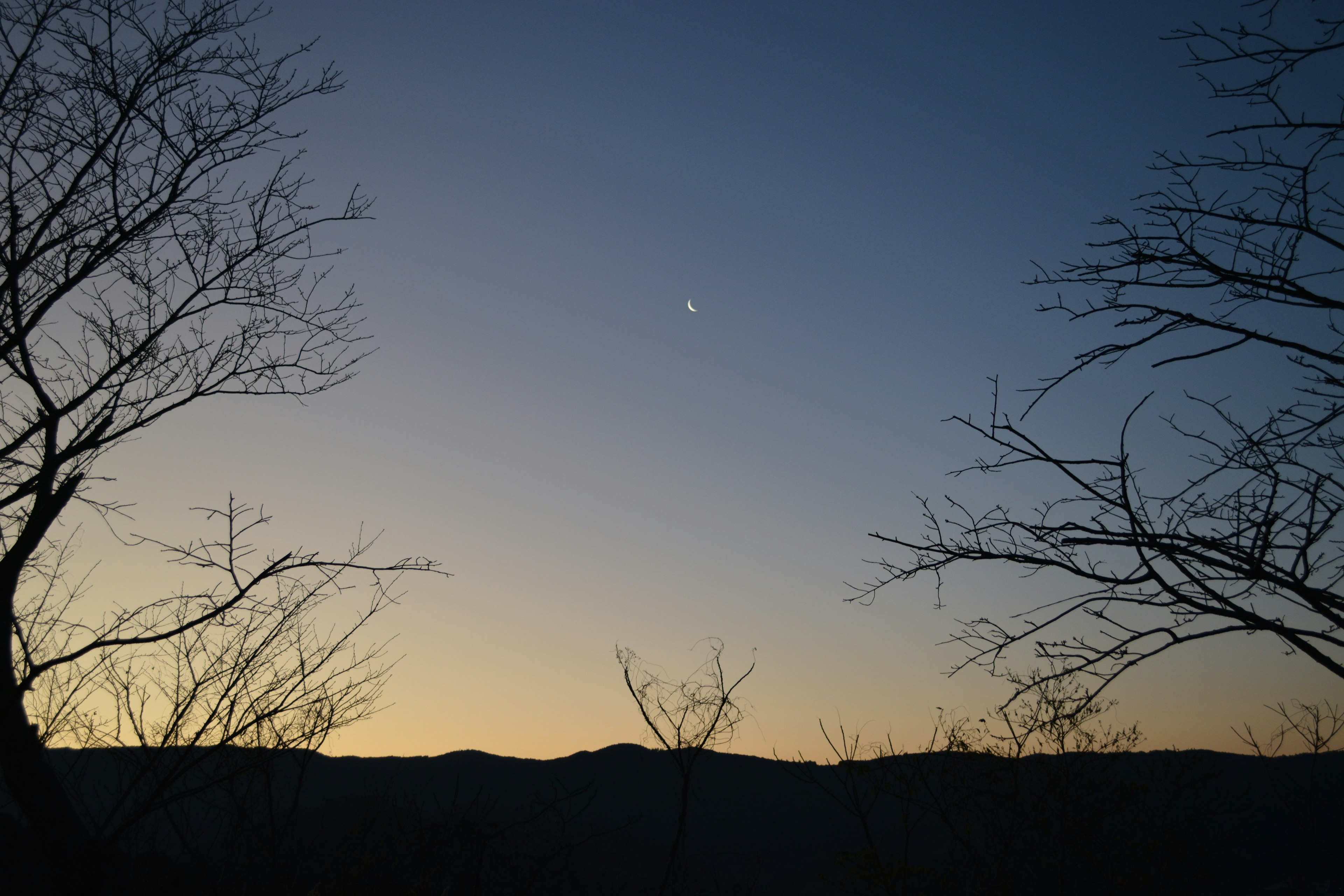 夕暮れ時の山と木のシルエットが映る空の景色