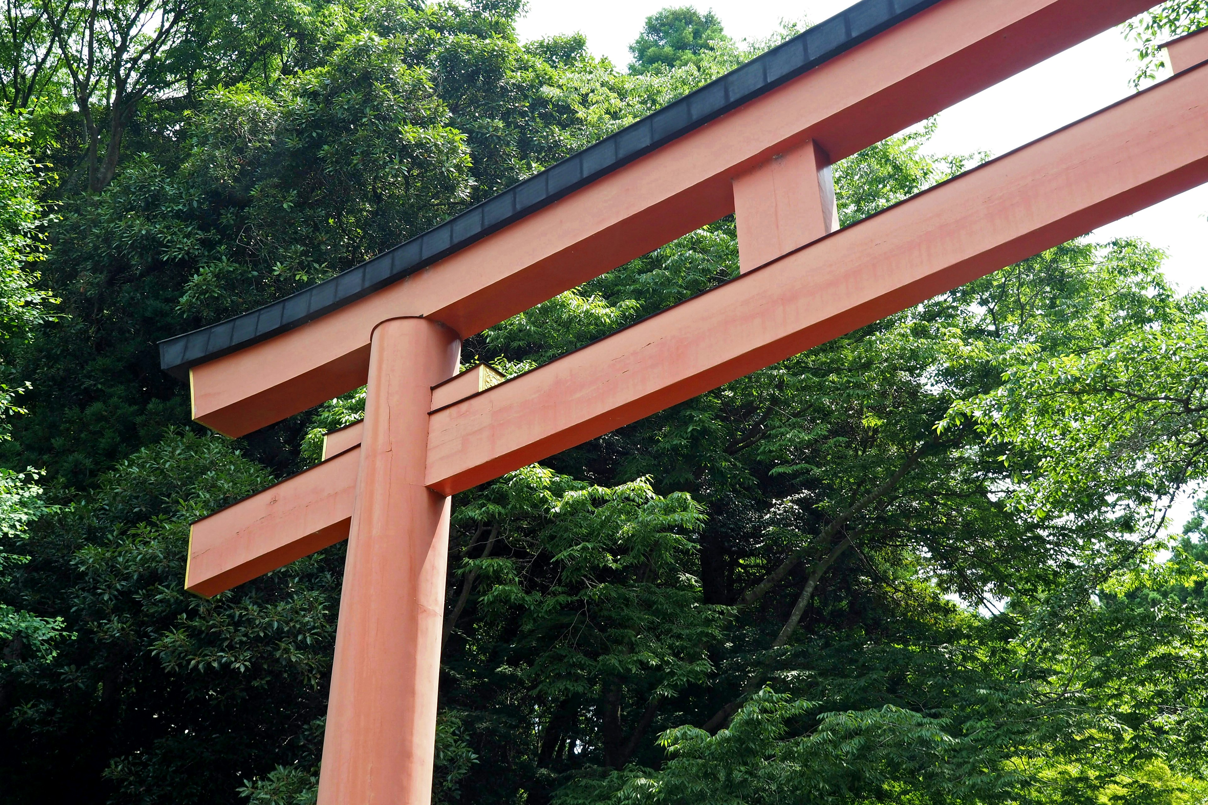 Primer plano de una puerta torii roja con fondo verde