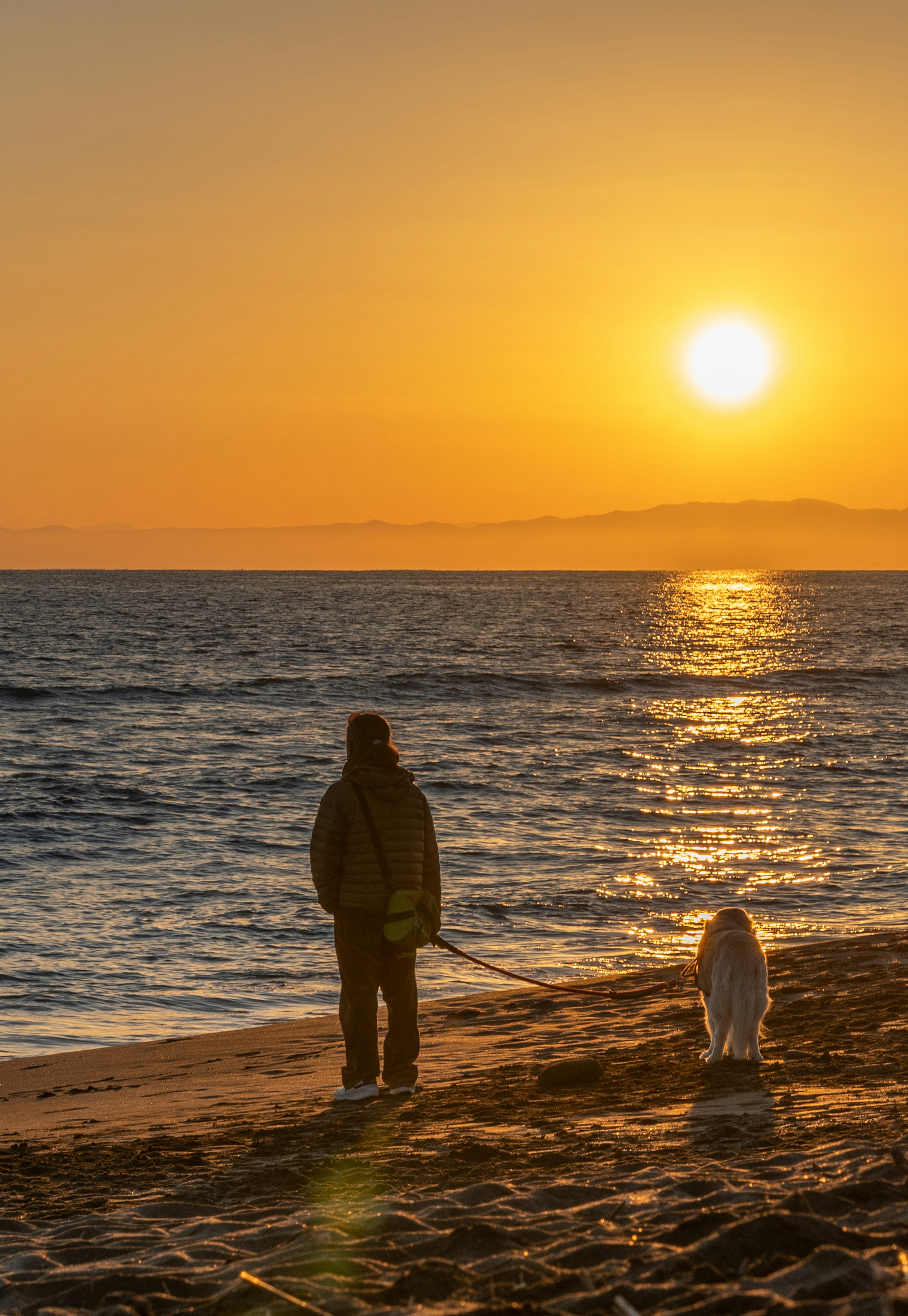 Une personne et un chien marchant le long de la plage au coucher du soleil