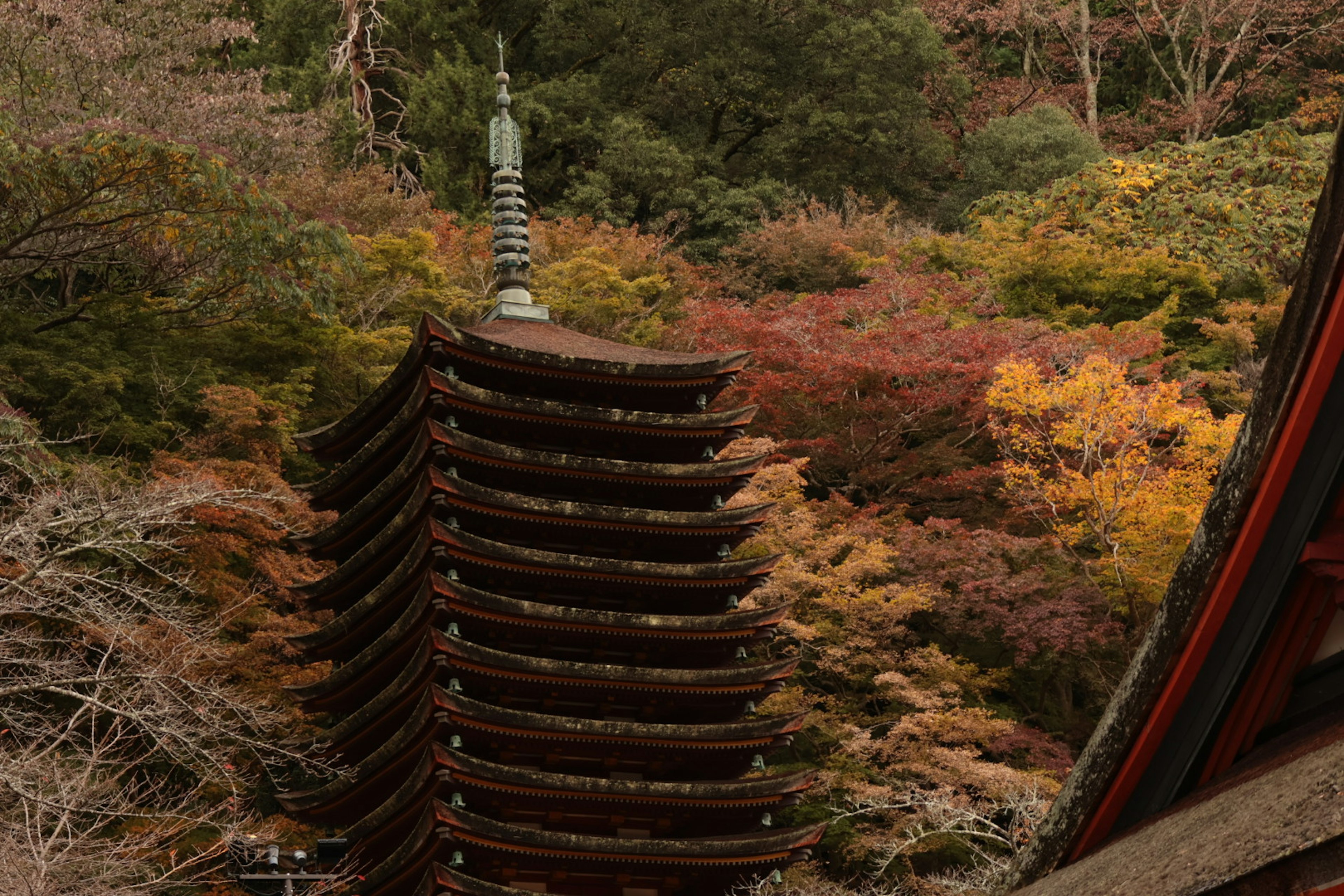 五重塔と美しい紅葉の風景