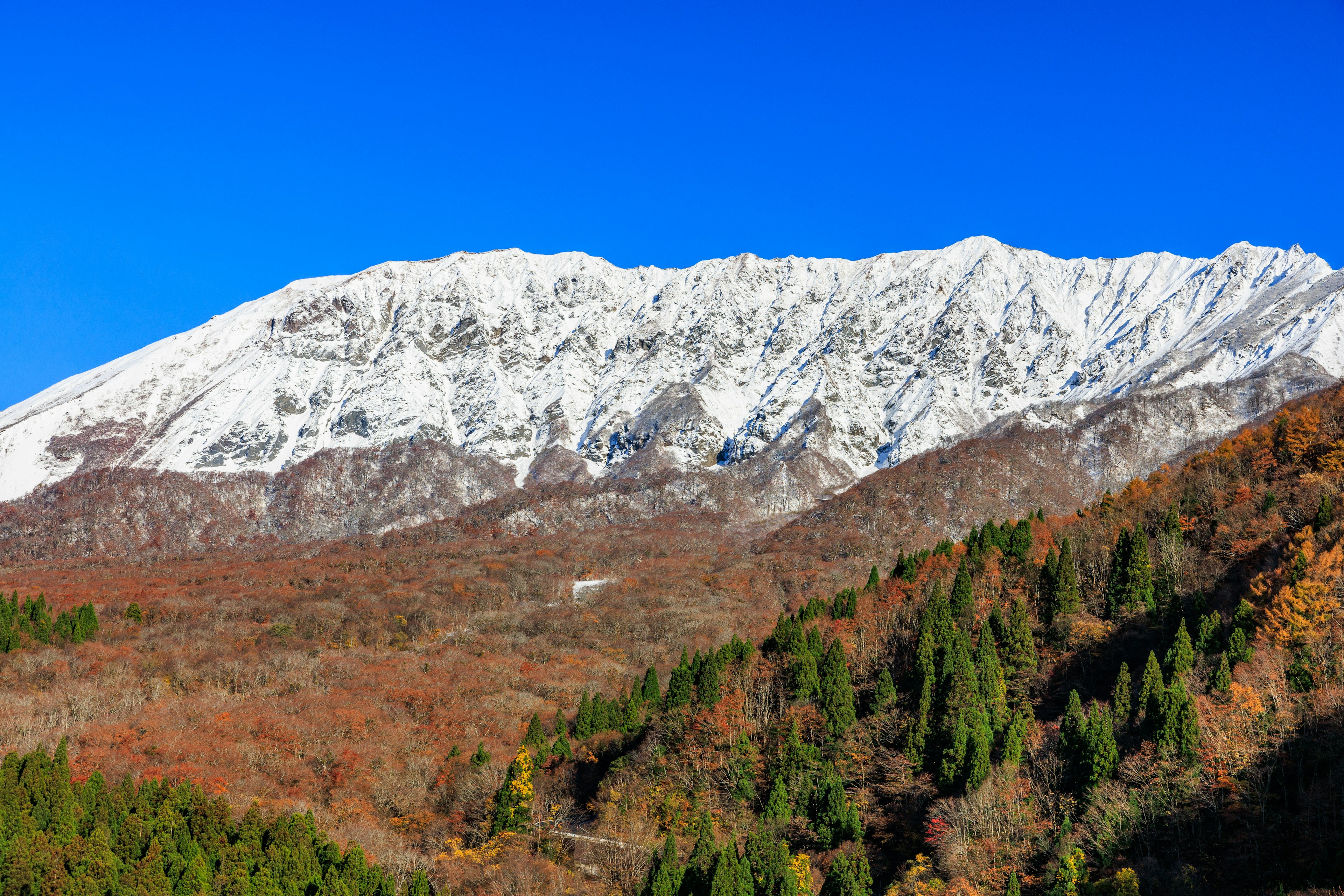 Montagnes enneigées avec un feuillage d'automne au premier plan