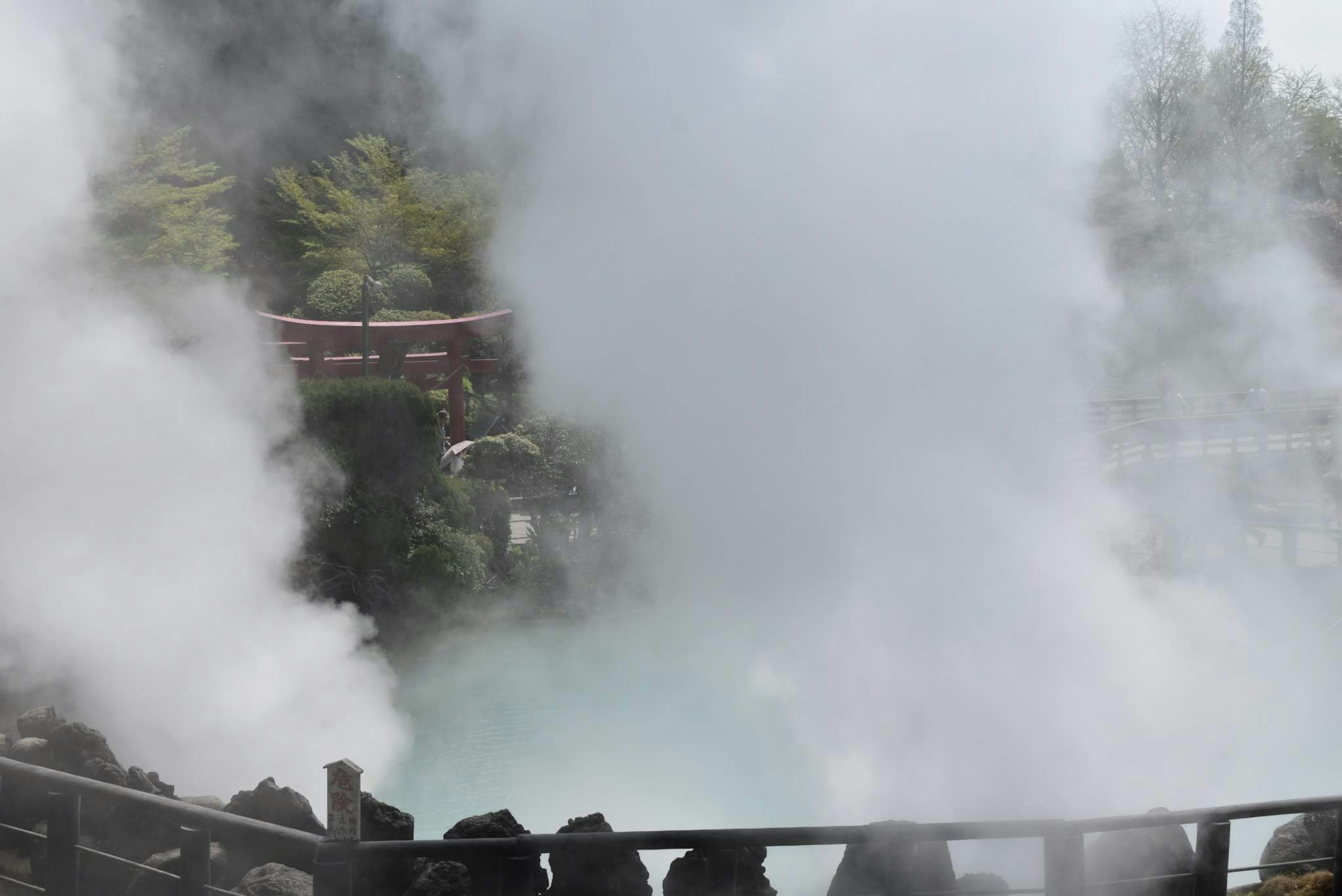 Vapeur s'élevant d'une source chaude entourée d'arbres verts