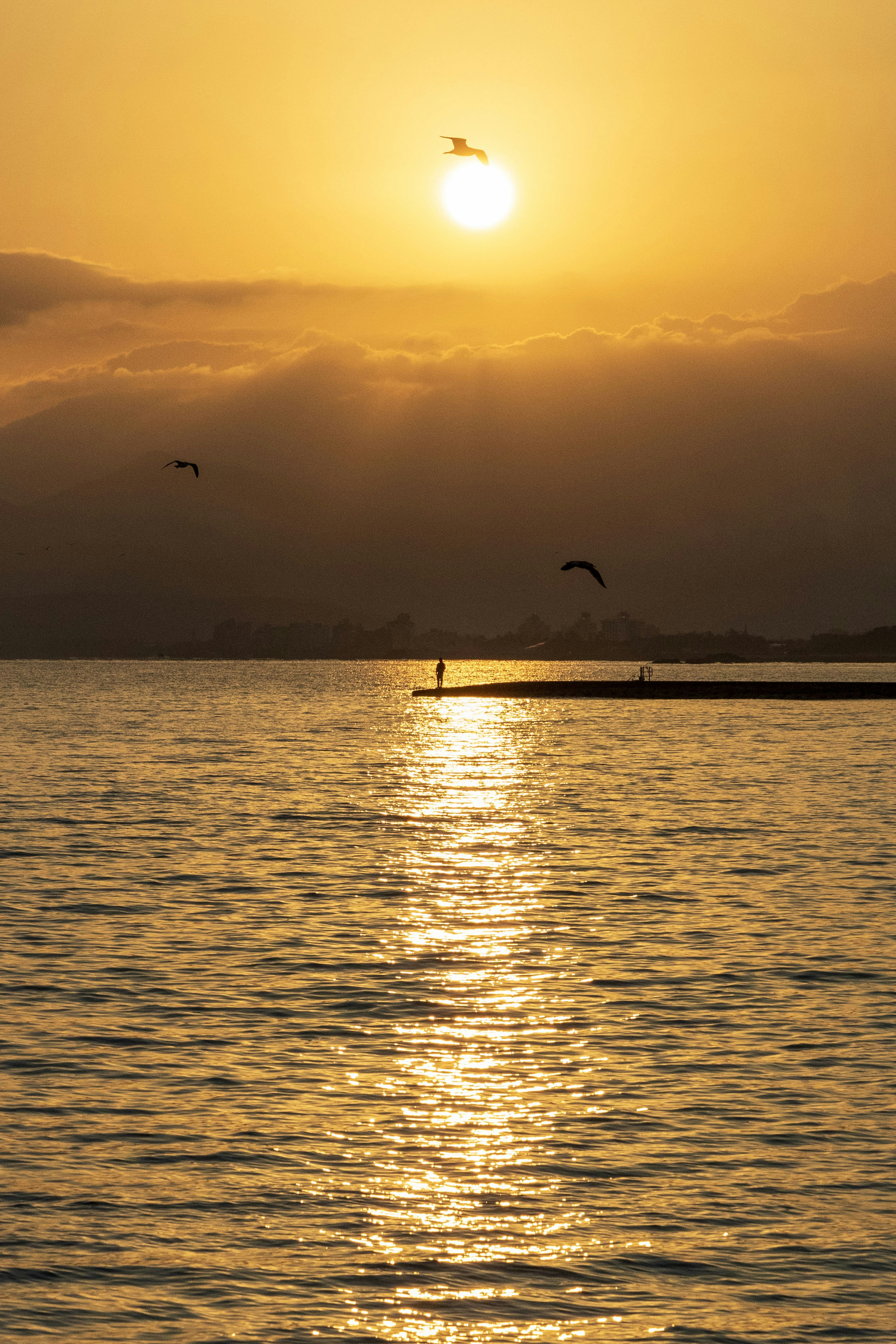 夕日が海に沈む美しい風景で静かな水面に反射する光