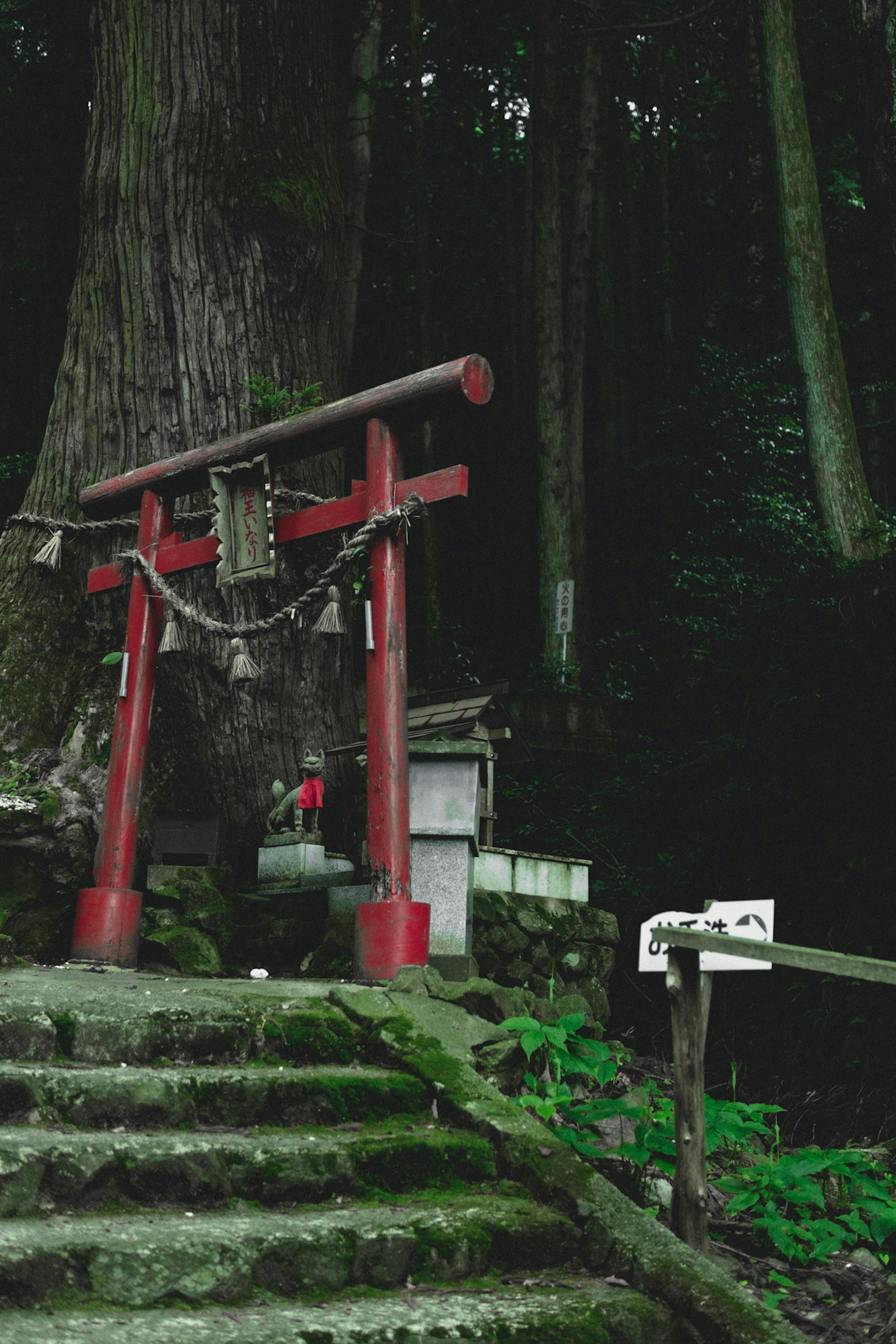 A red torii gate with stone steps leading up to a shrine