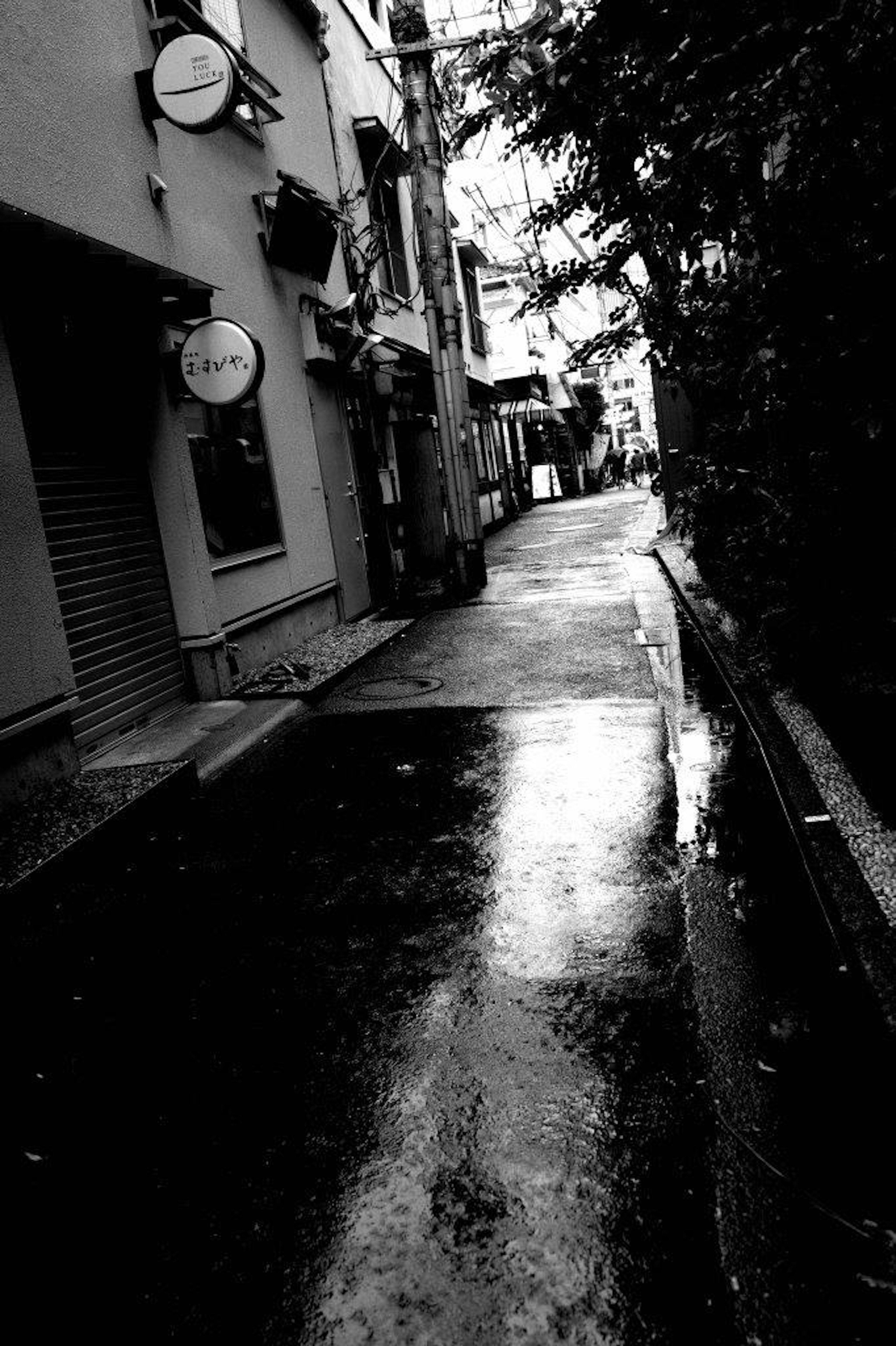 Escena de callejón tranquilo después de la lluvia Edificios alineados Pavimento brillante