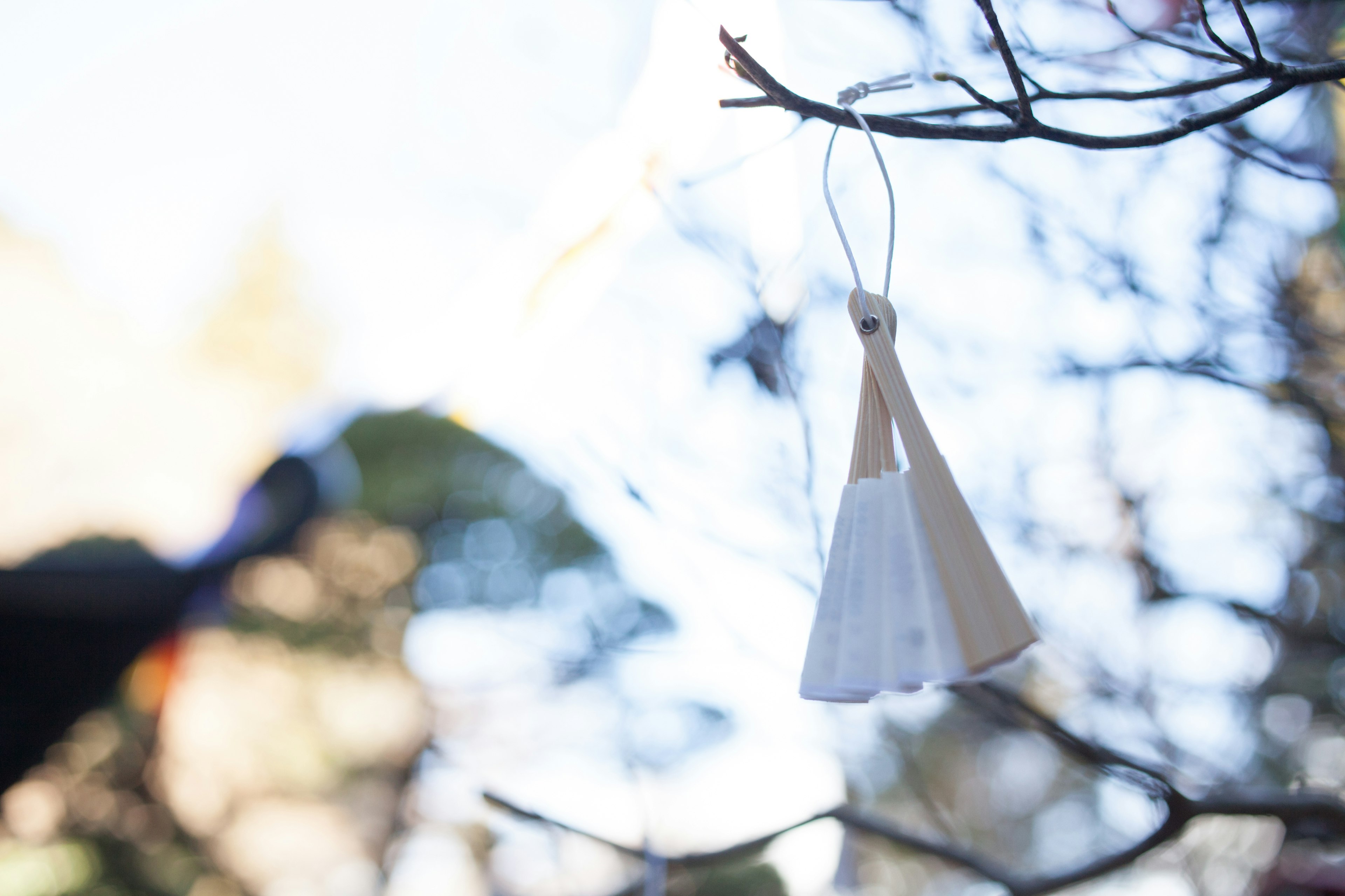 A white amulet hanging from a tree branch