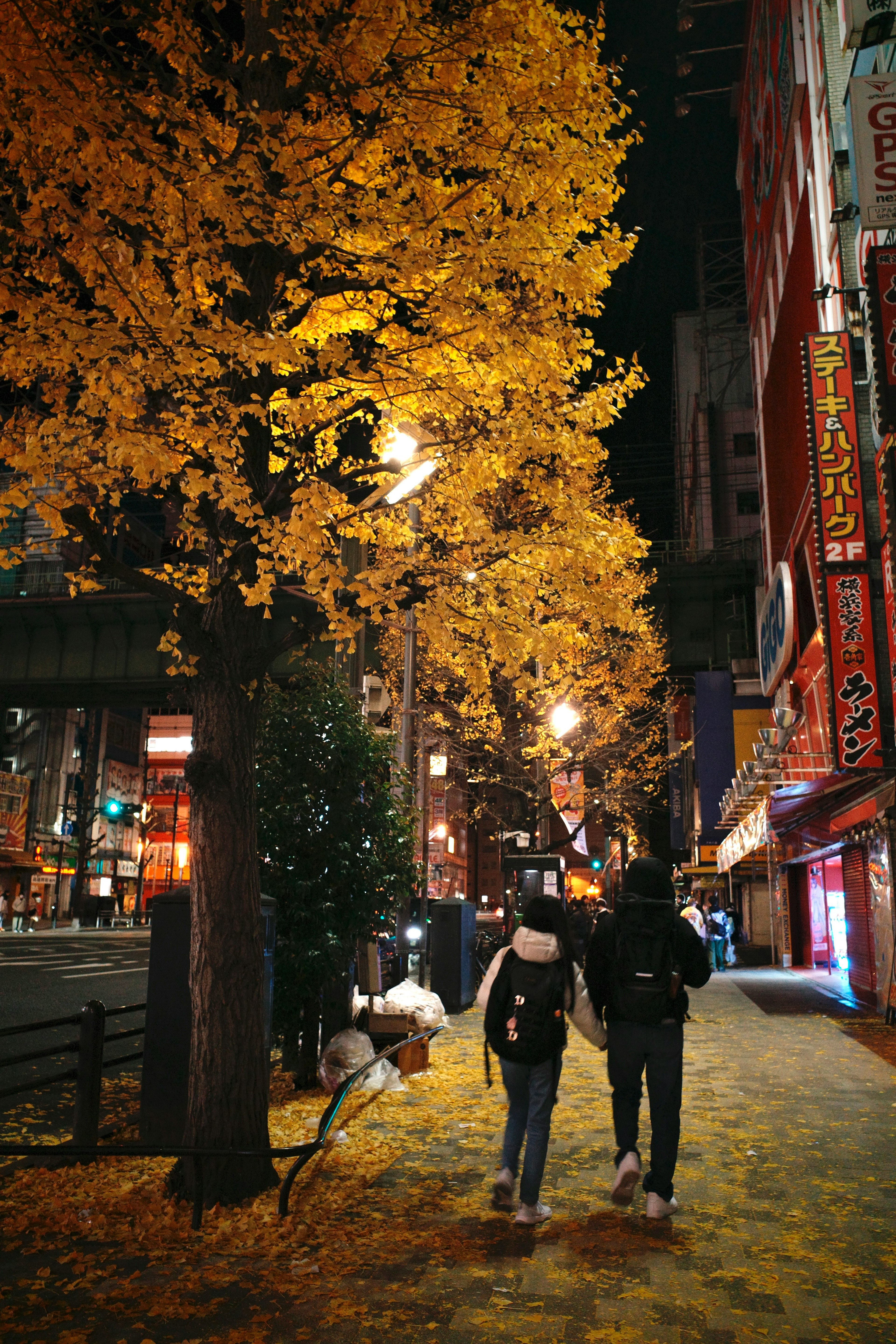 Couple walking on a street under a yellow ginkgo tree at night