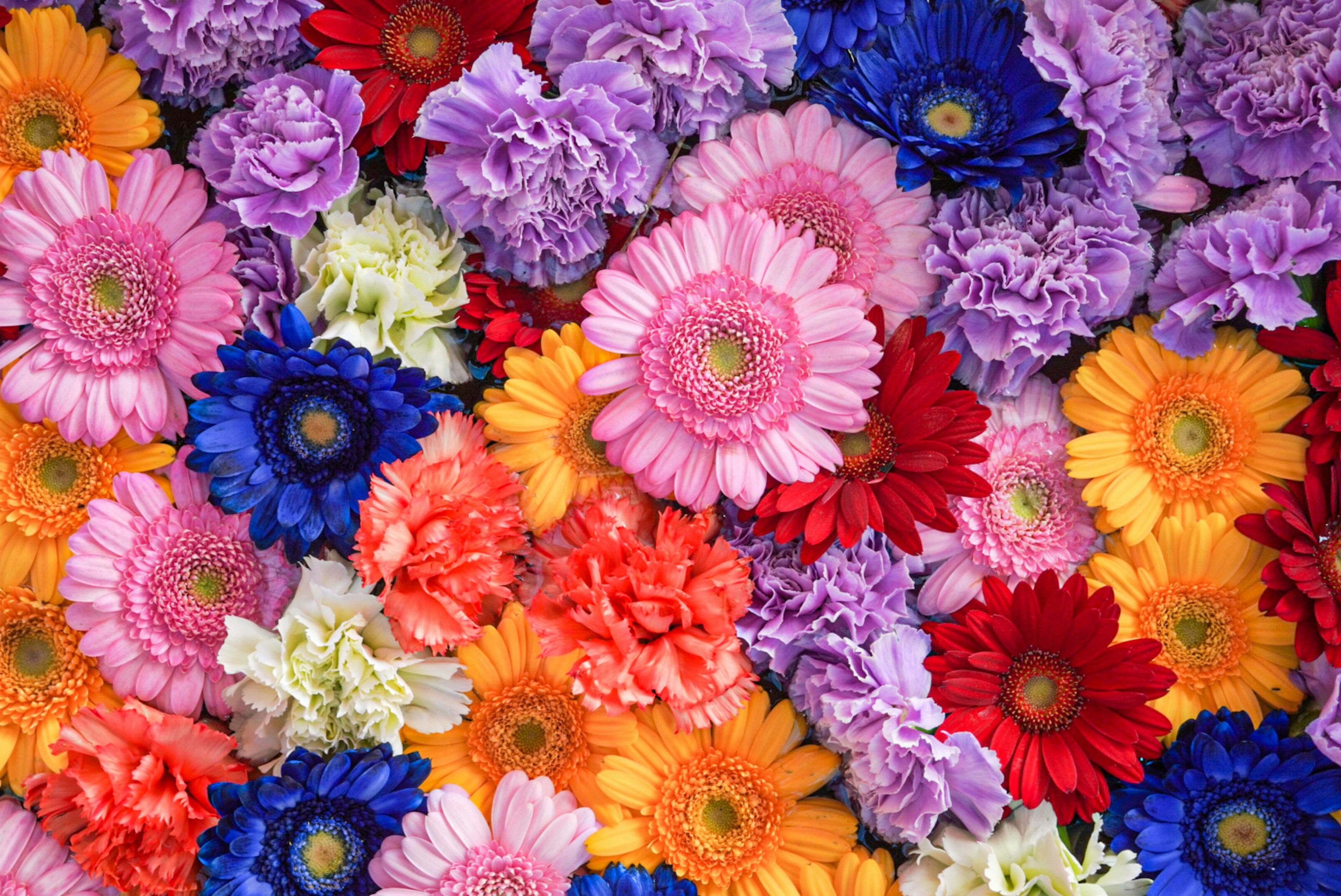 A vibrant arrangement of various flowers in bright colors