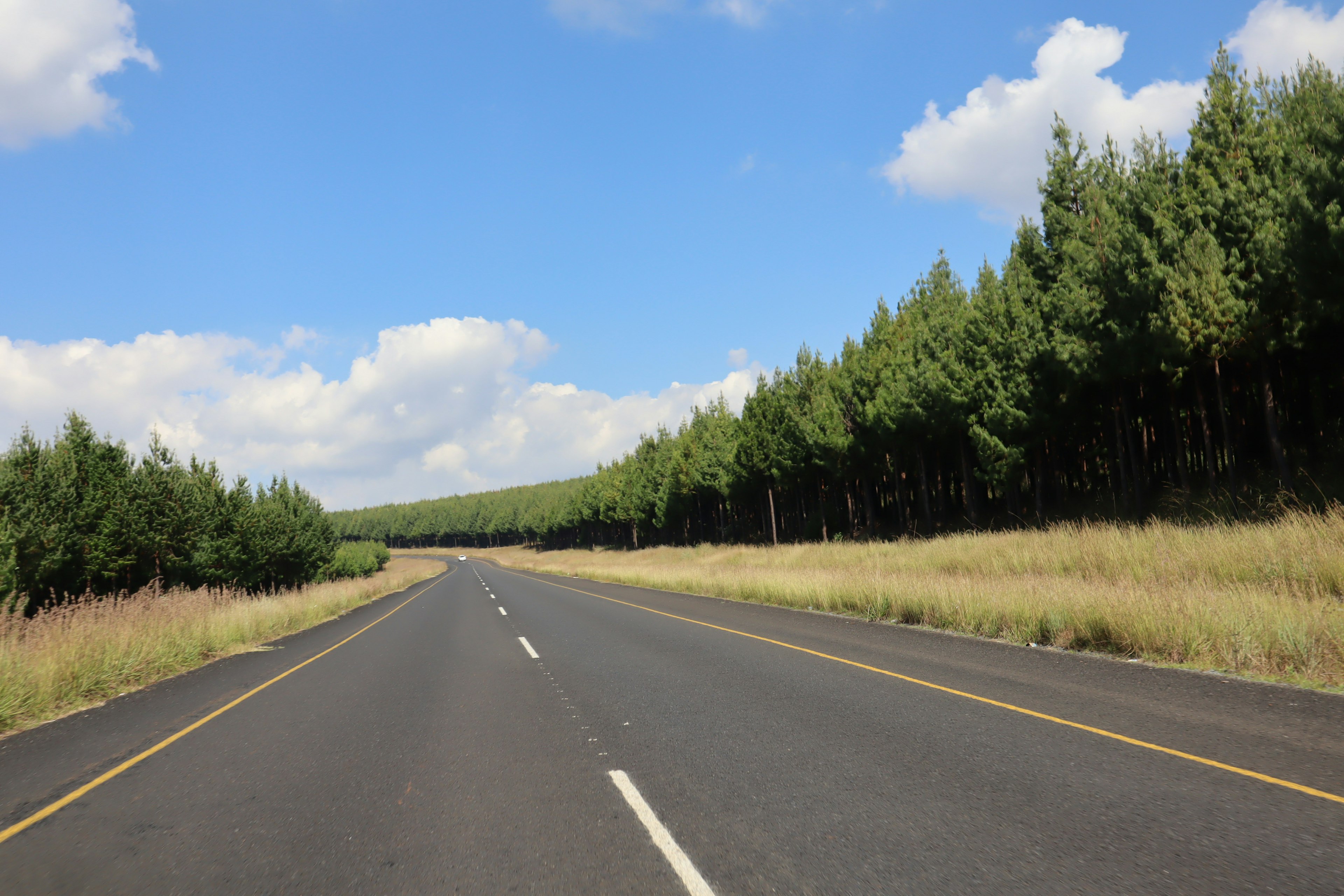 Offene Straße mit grünen Bäumen unter blauem Himmel