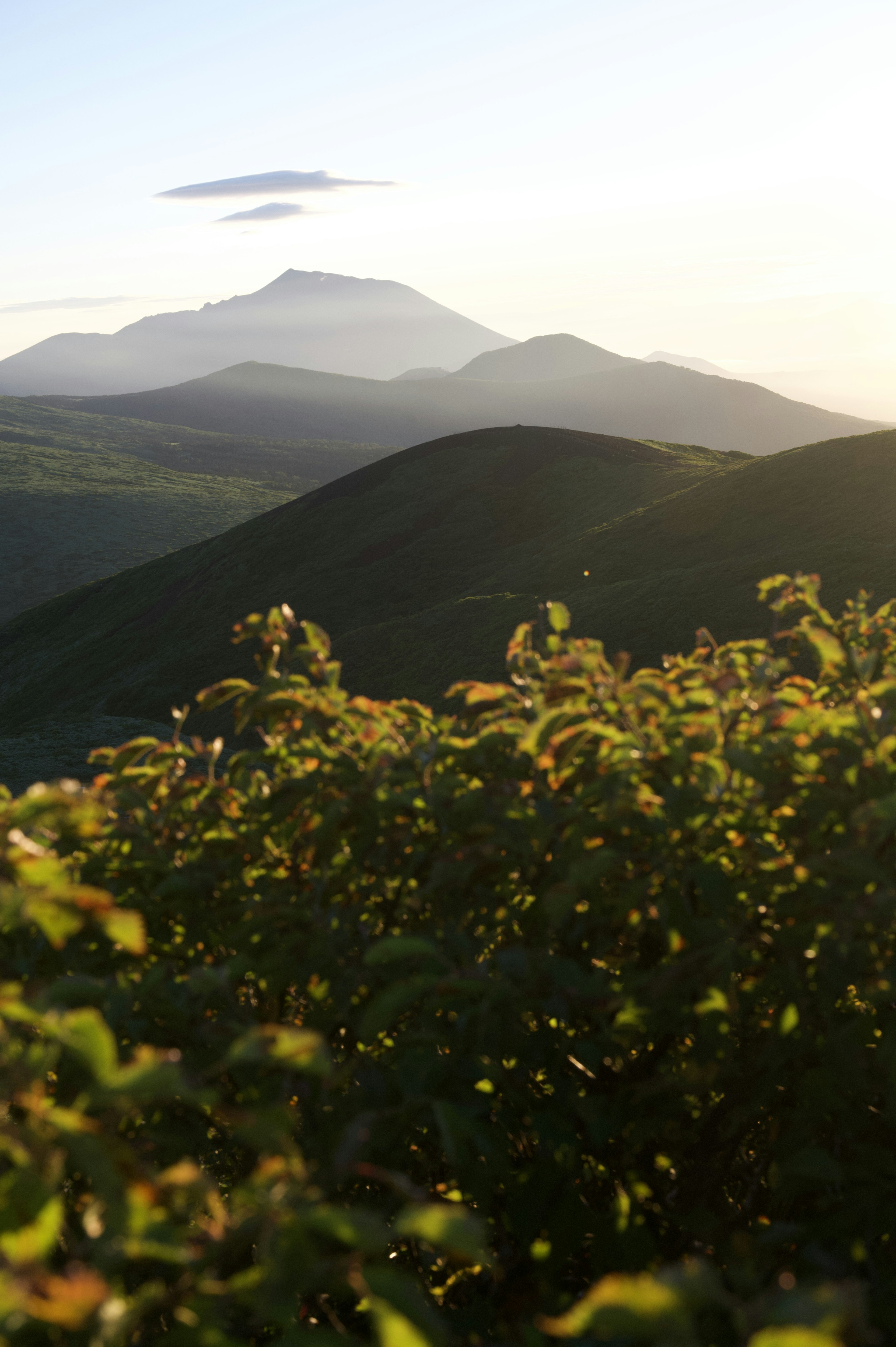 美しい山々と緑の丘が広がる風景