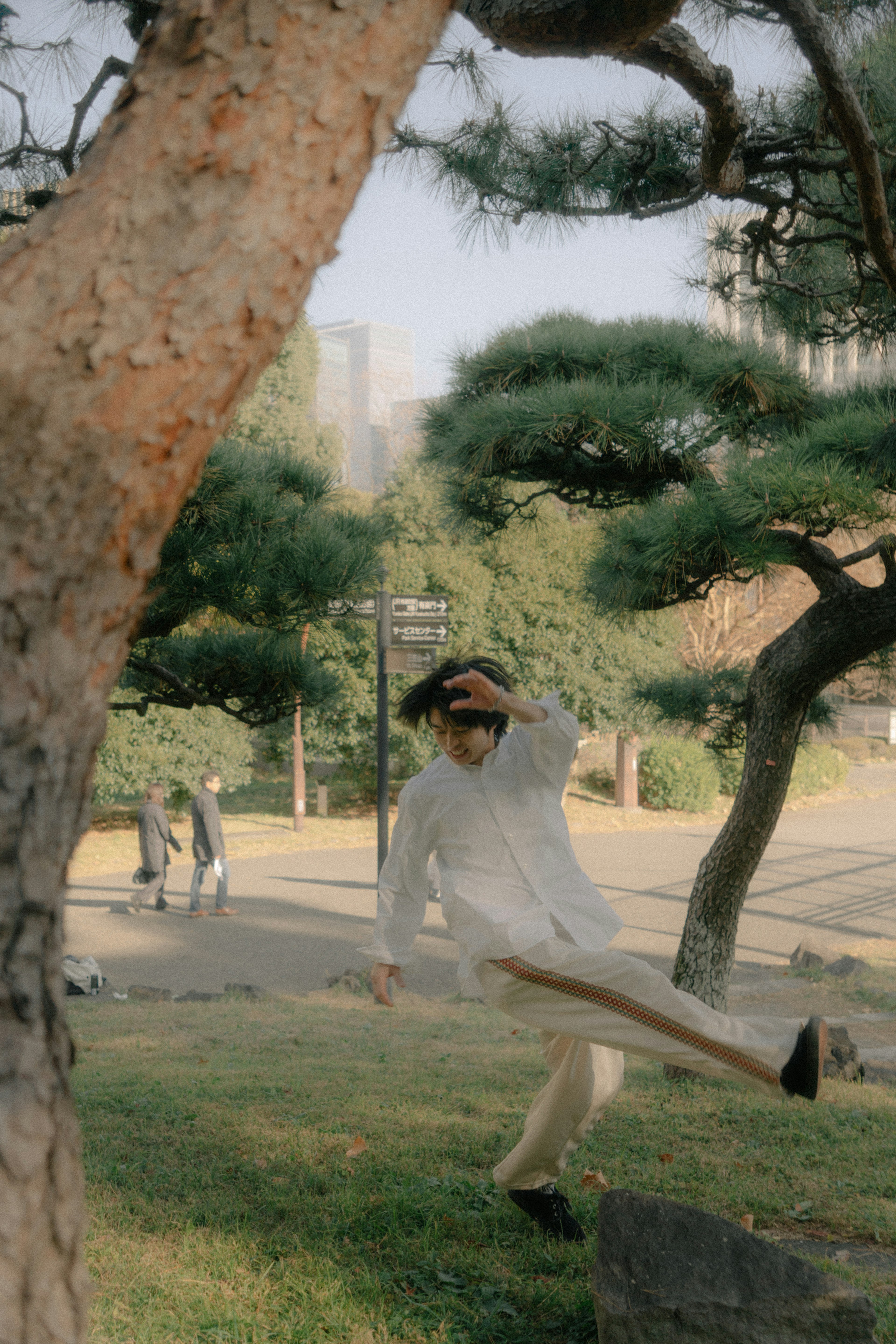 公園で遊んでいる若者の姿 背景には木々と都市の風景