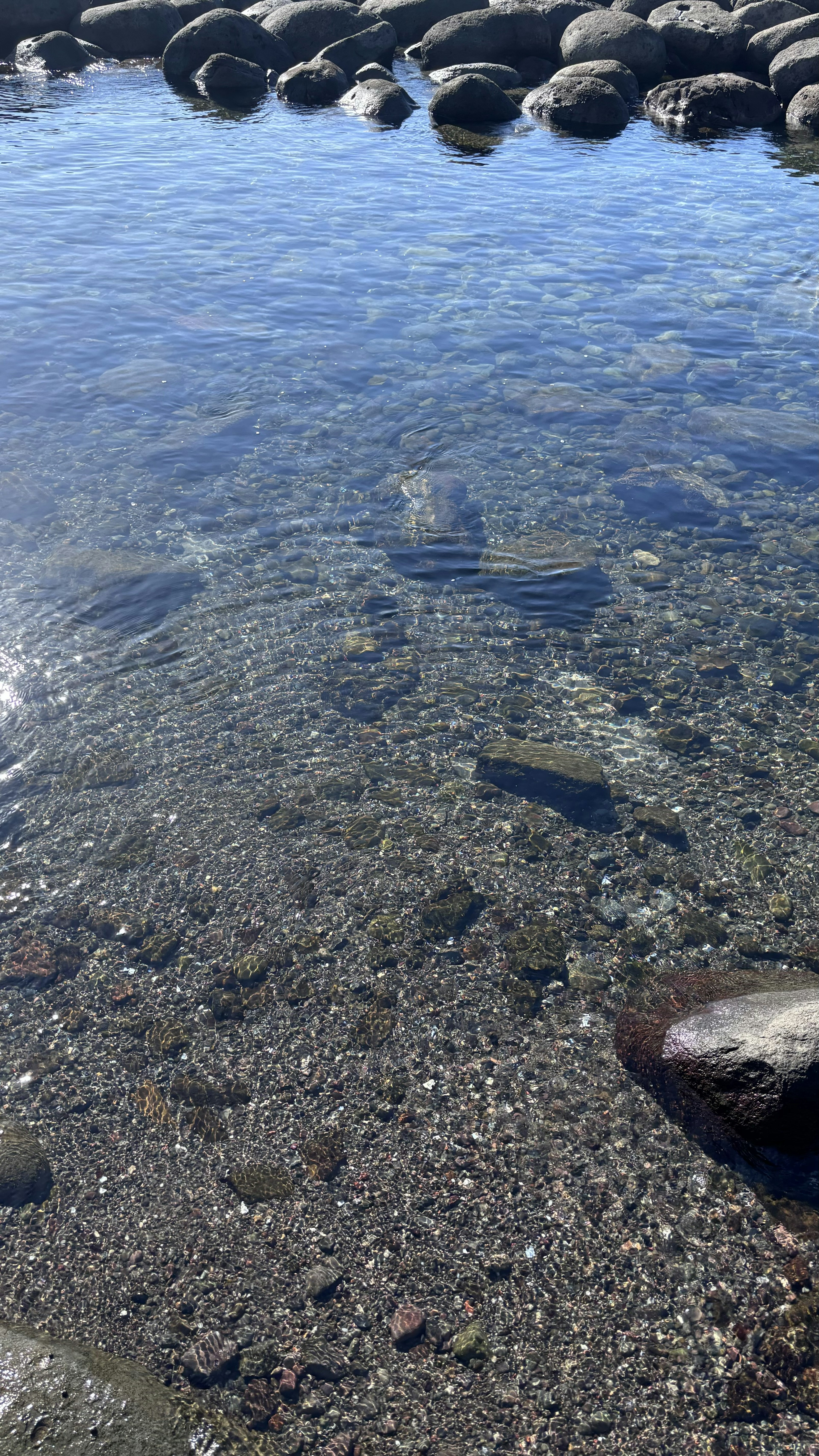 Acqua chiara che rivela pietre e pesci in un paesaggio costiero