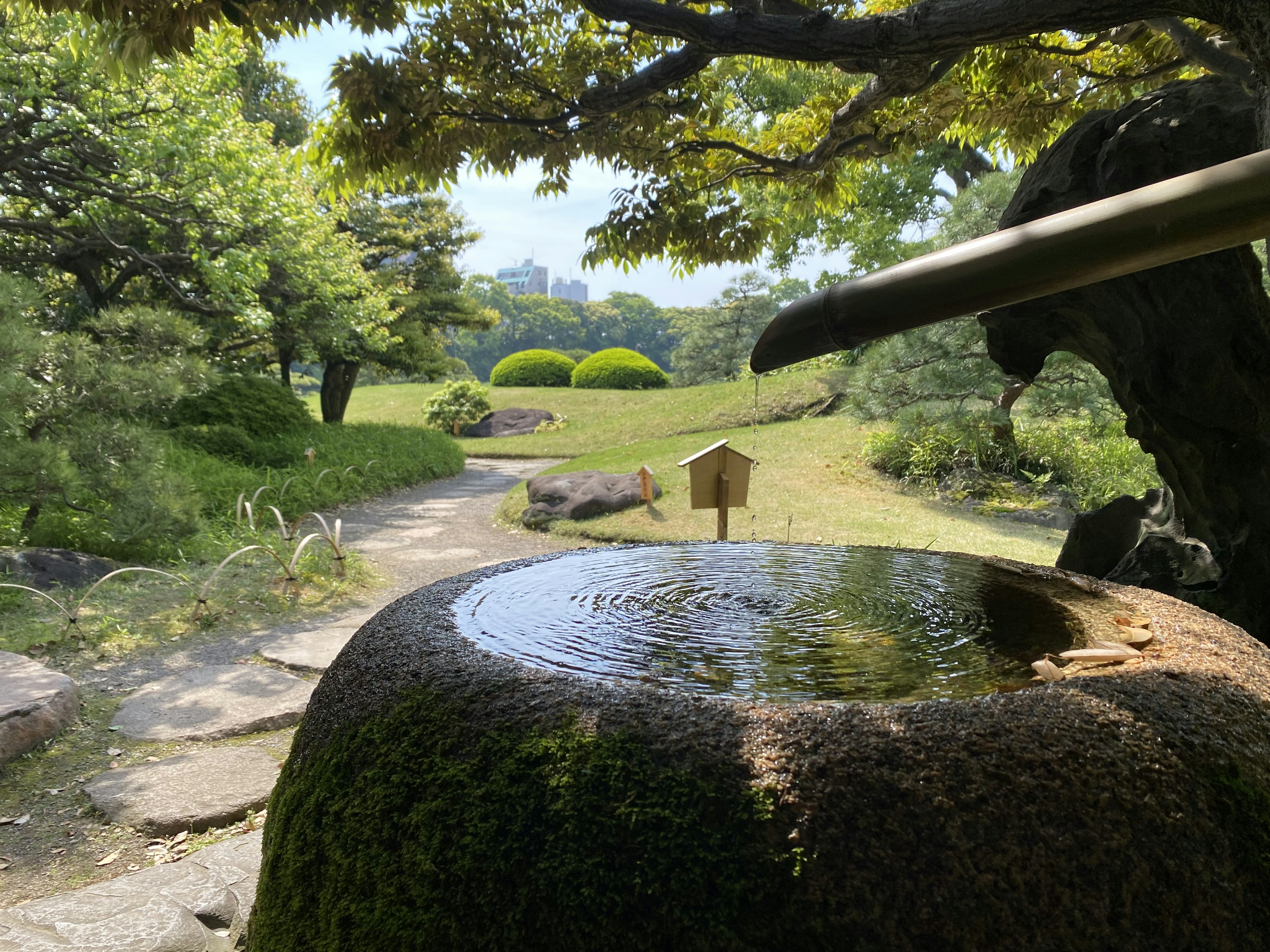 Pemandangan taman Jepang yang tenang dengan bak batu dan air mengalir dikelilingi oleh kehijauan