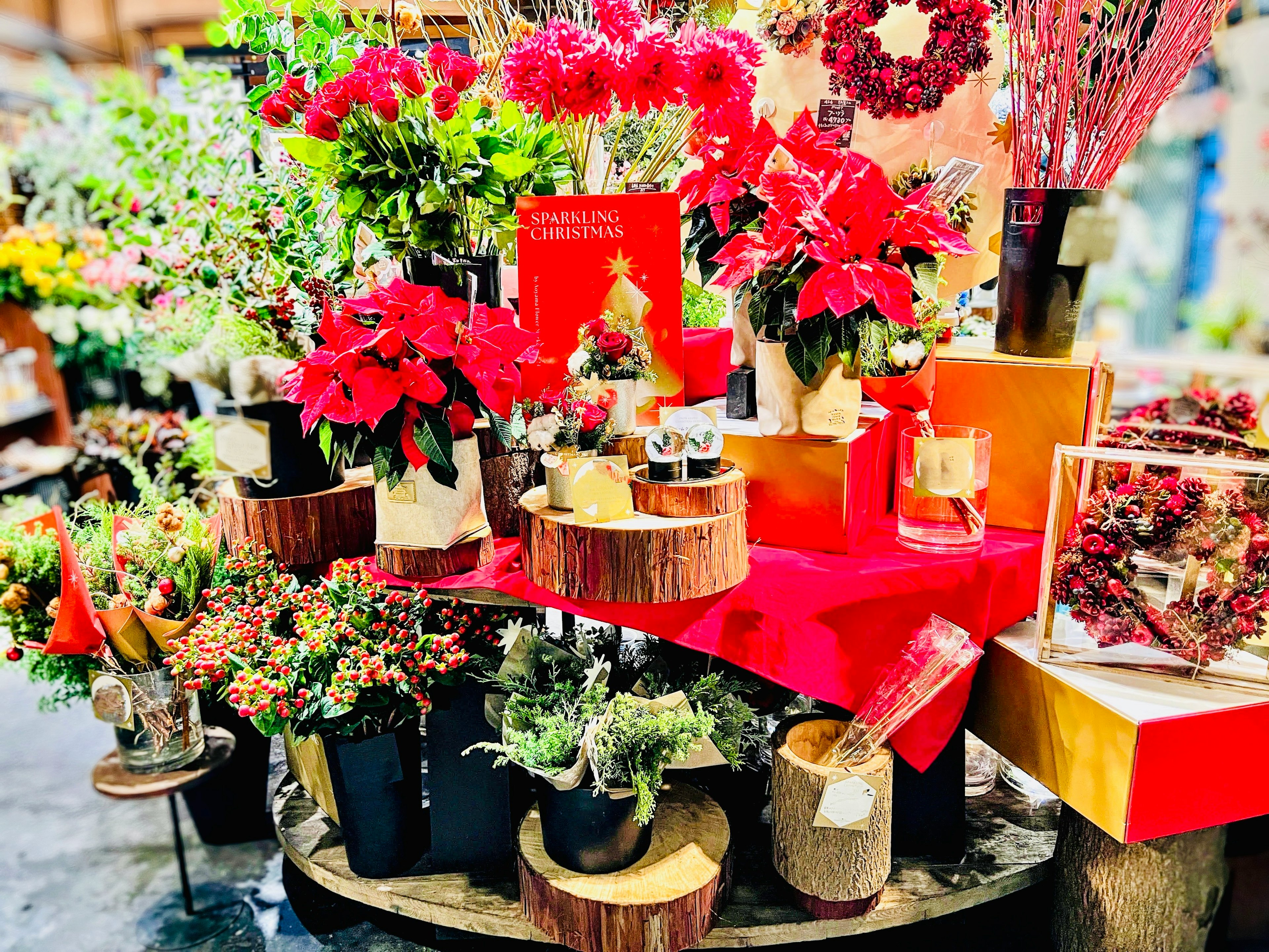 Vibrant flower shop display featuring red poinsettias and various green plants