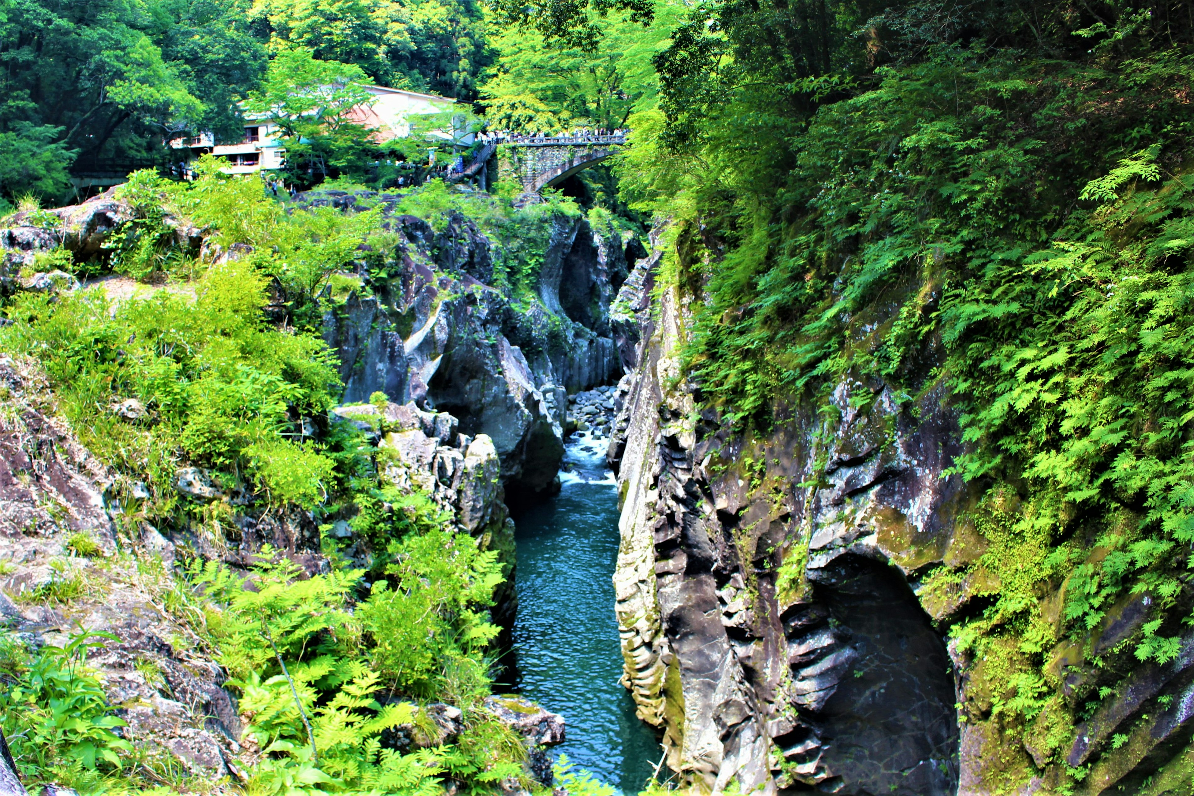 Lush green canyon with a flowing blue river and rock formations