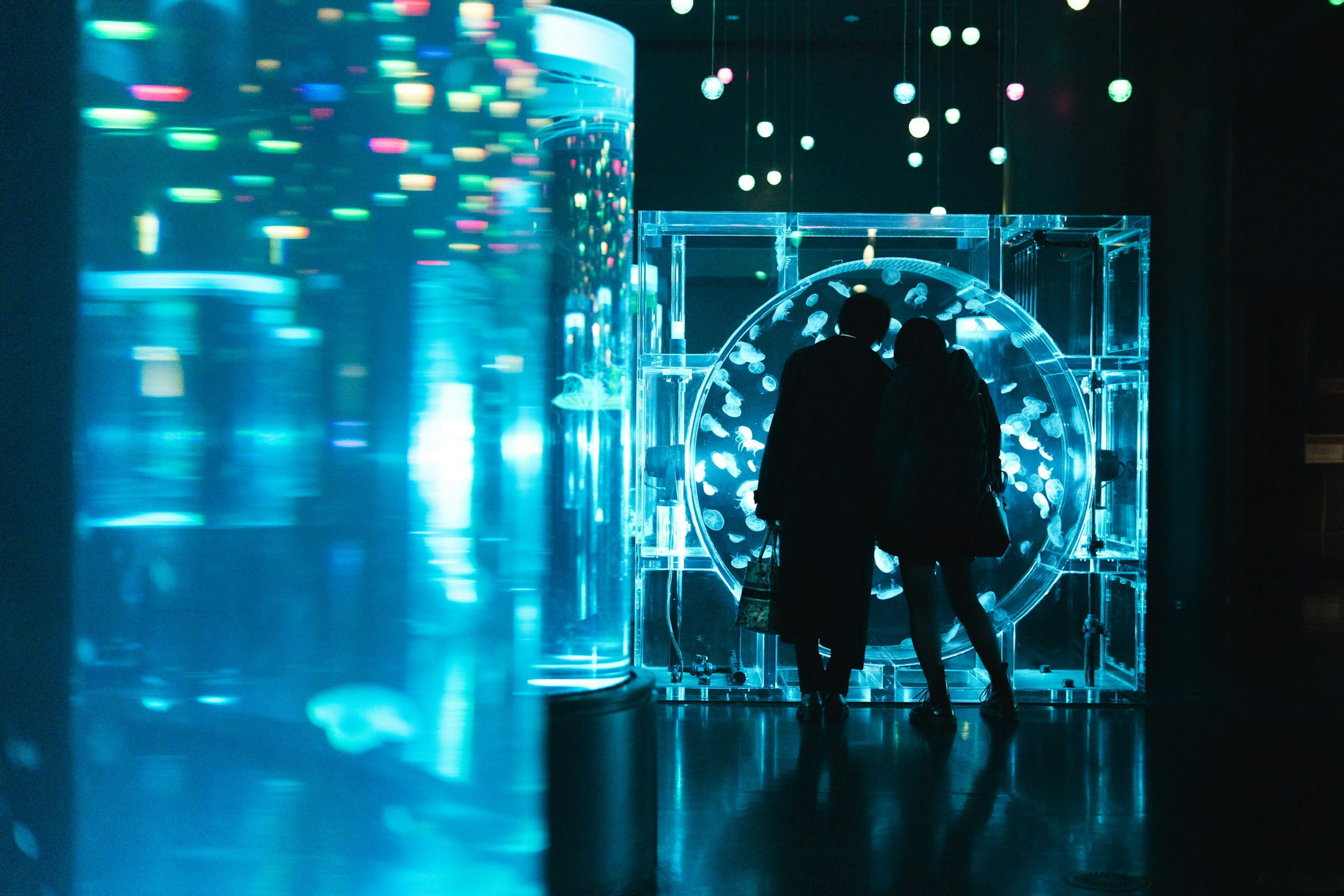 Silhouette of two people against blue lights and colorful reflections