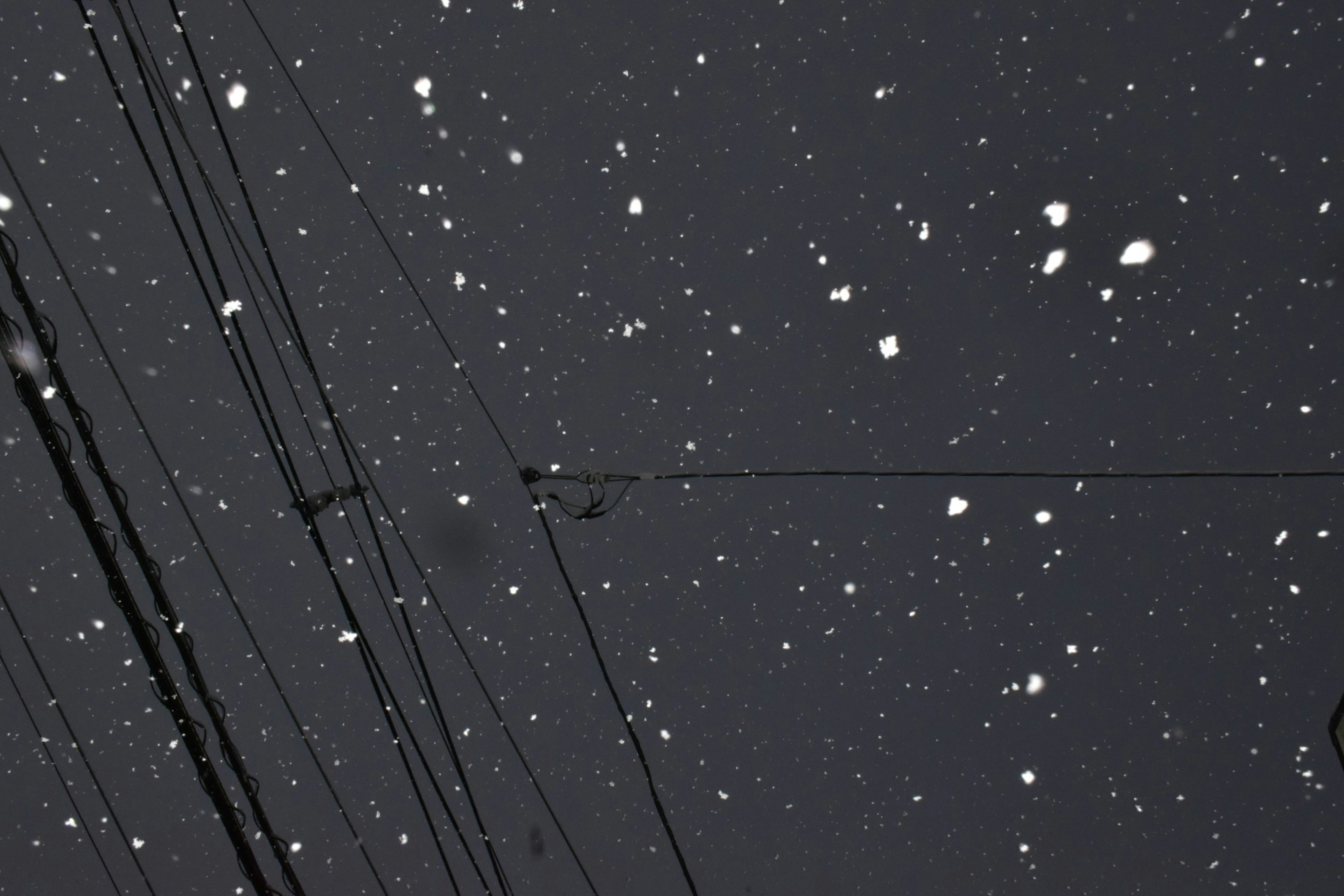 Schnee fällt gegen einen dunklen Himmel mit Stromleitungen