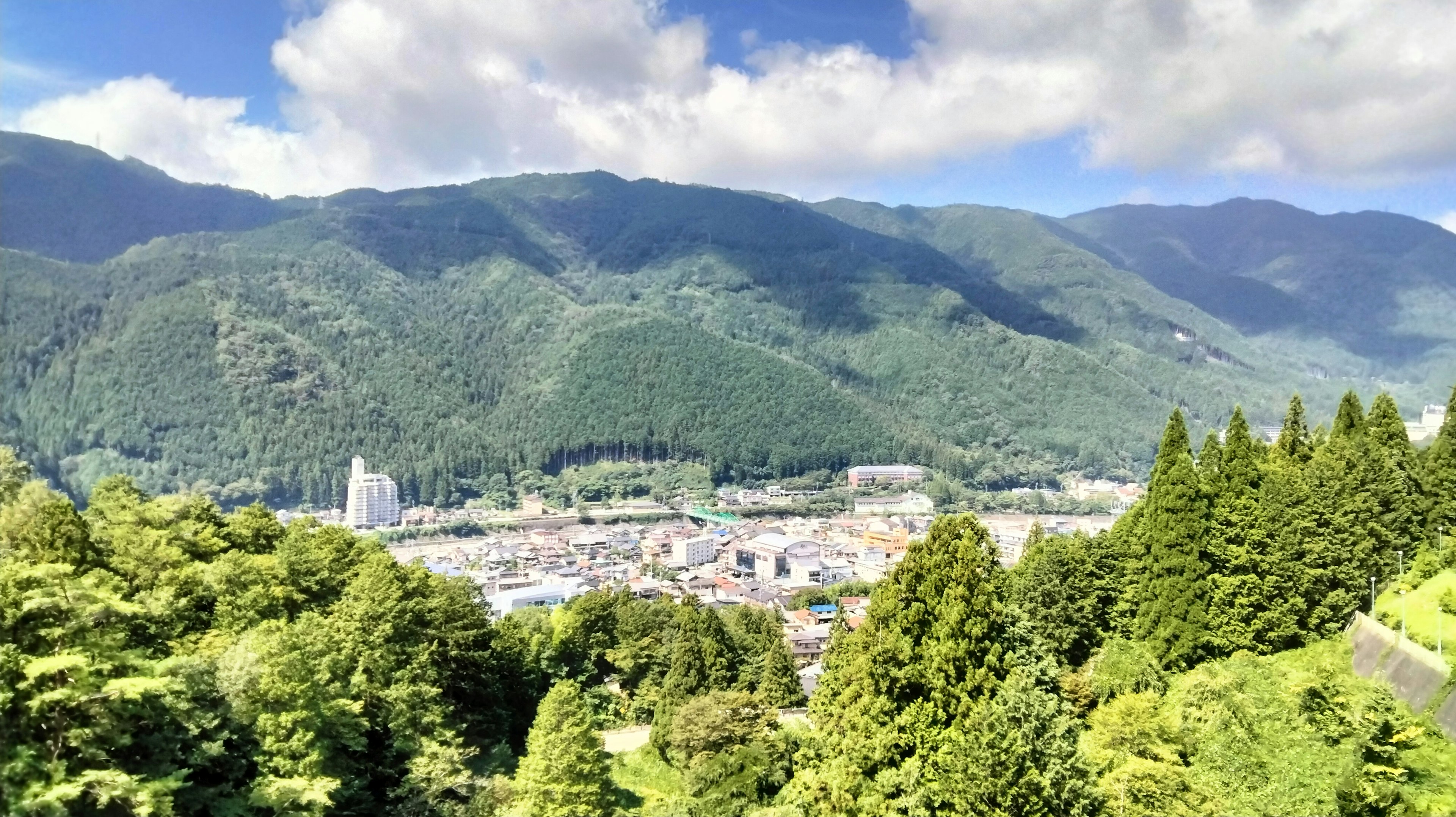 Panoramic view of green mountains and a town below