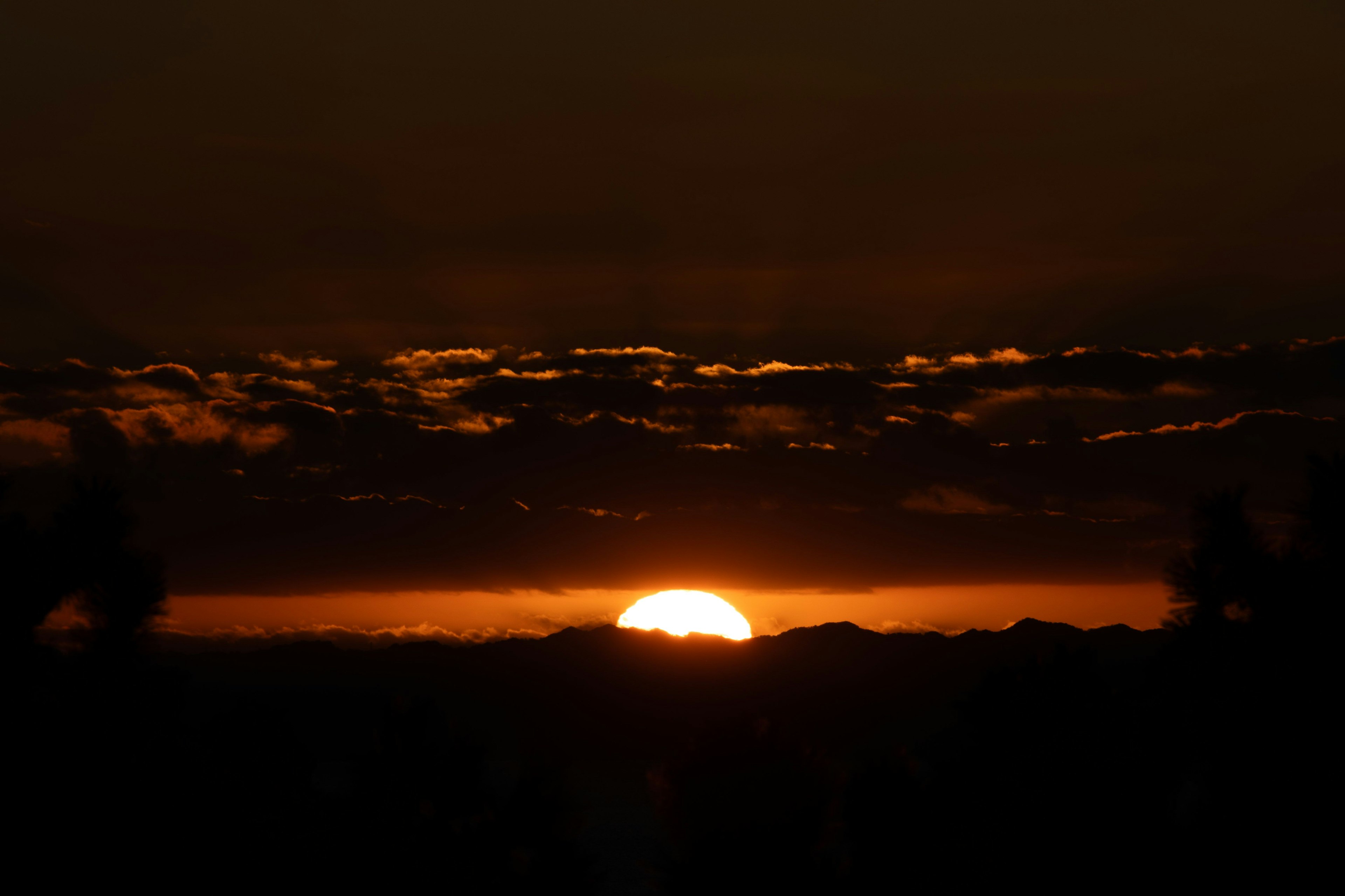 夕日が地平線に沈む美しい風景 黒いシルエットの木々とオレンジ色の空