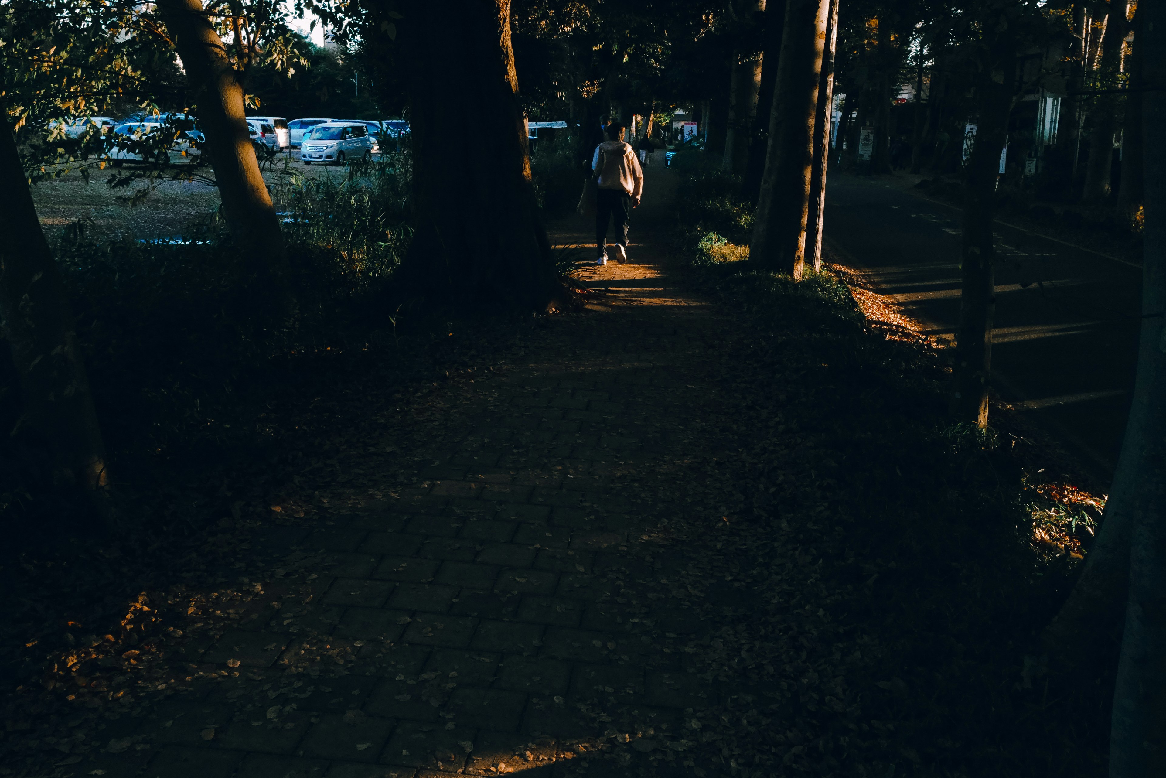 A person walking along a dark path surrounded by trees