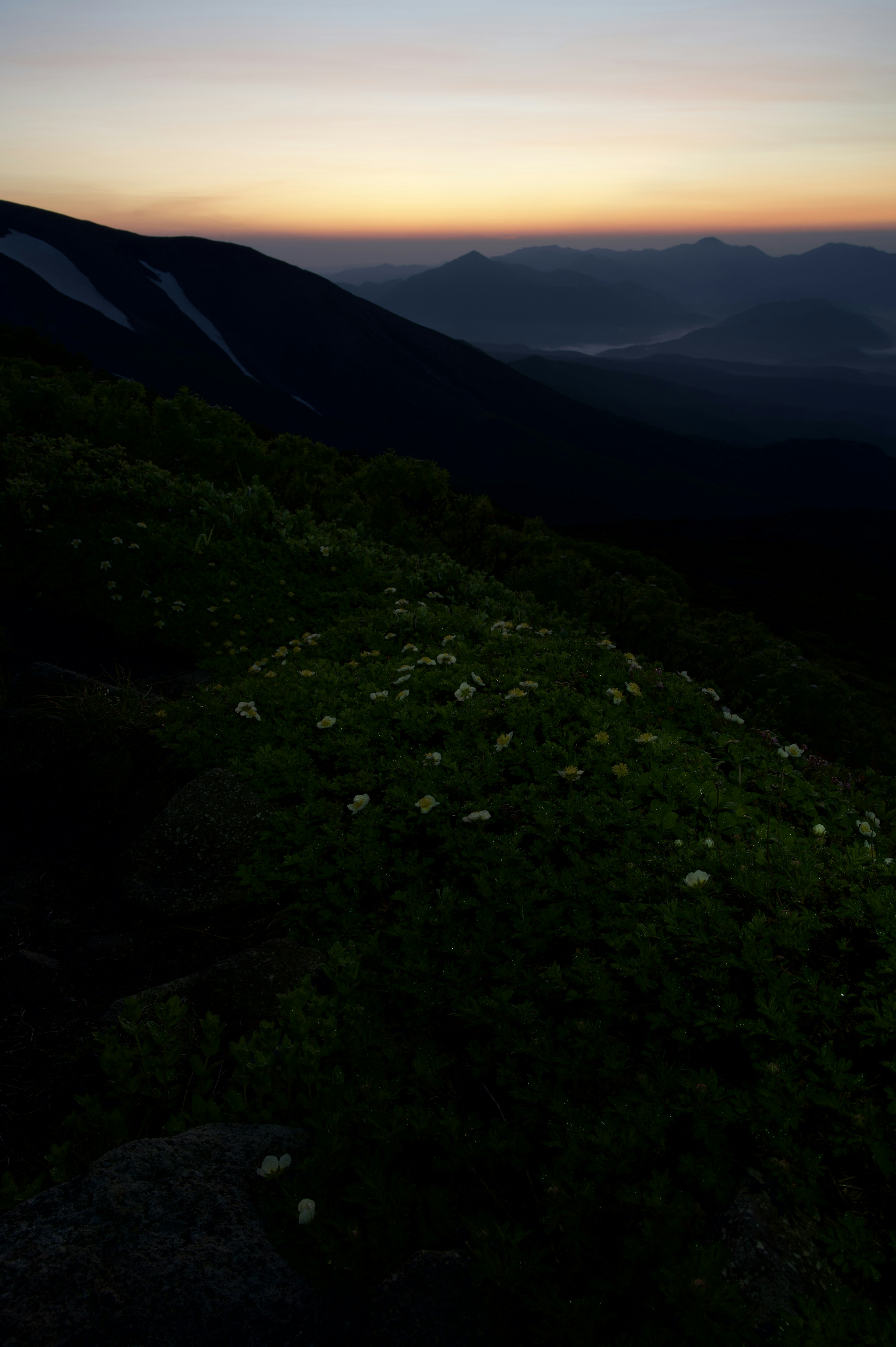 Paysage de montagne avec des fleurs illuminées par le ciel au coucher du soleil