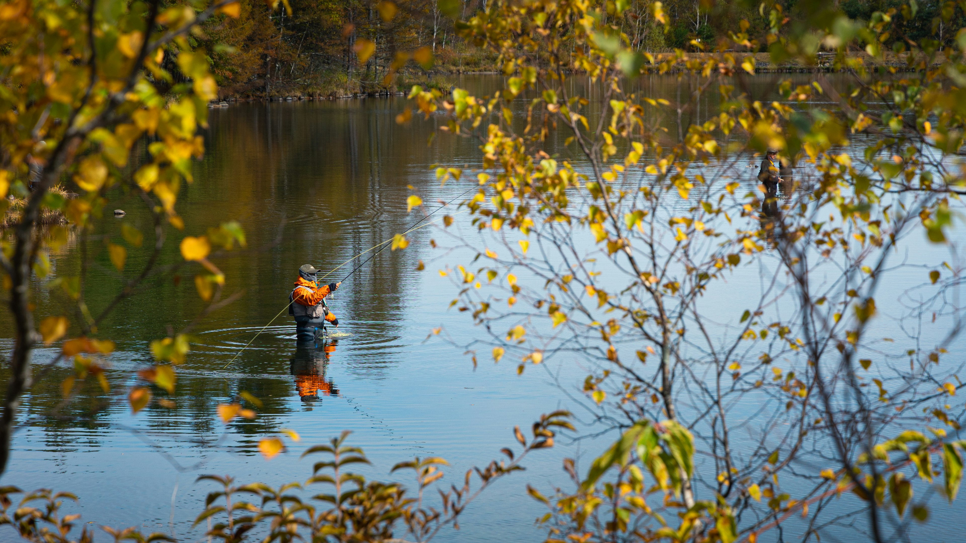 Silhouette d'une personne en train de pêcher sur une surface d'eau aux couleurs d'automne