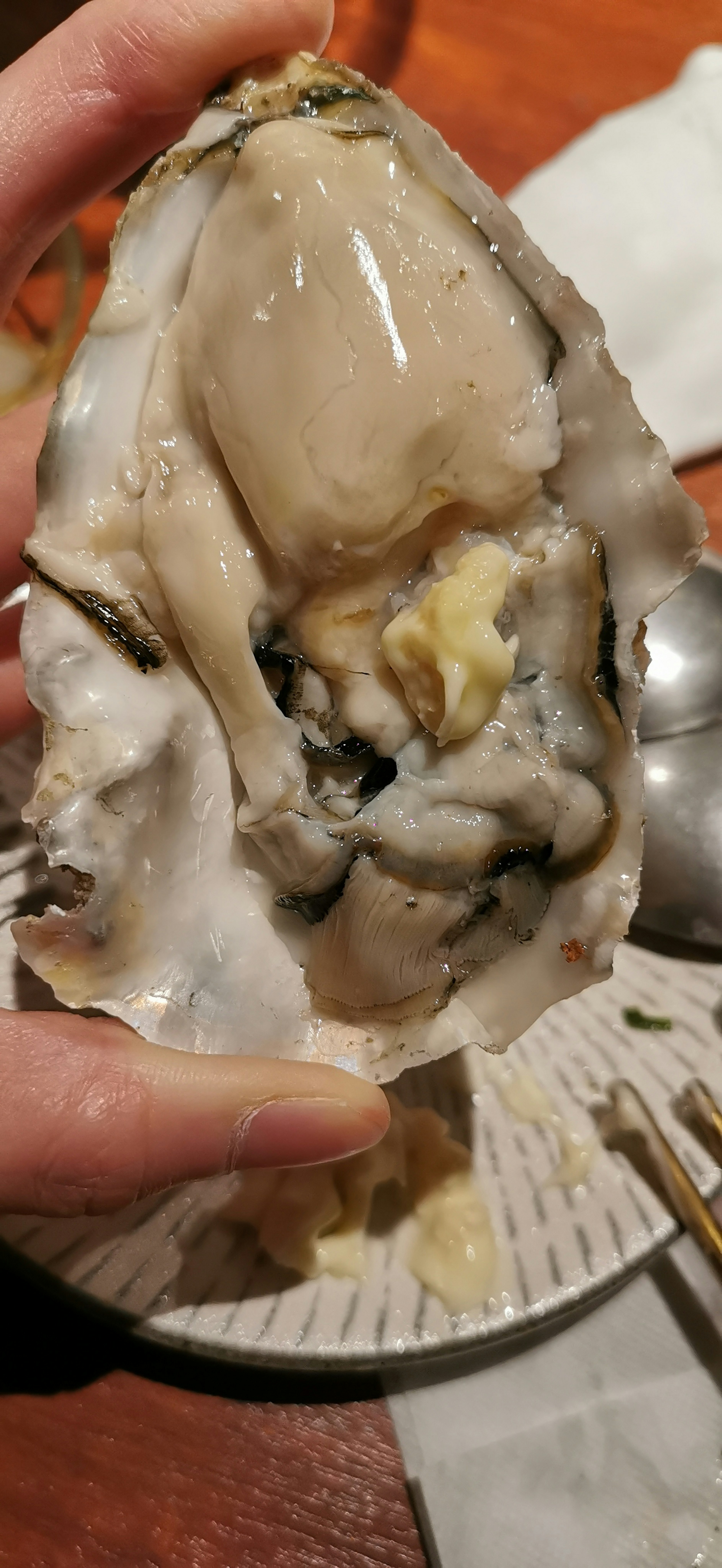 Oyster segar dipegang di tangan menunjukkan bagian dalam dan teksturnya