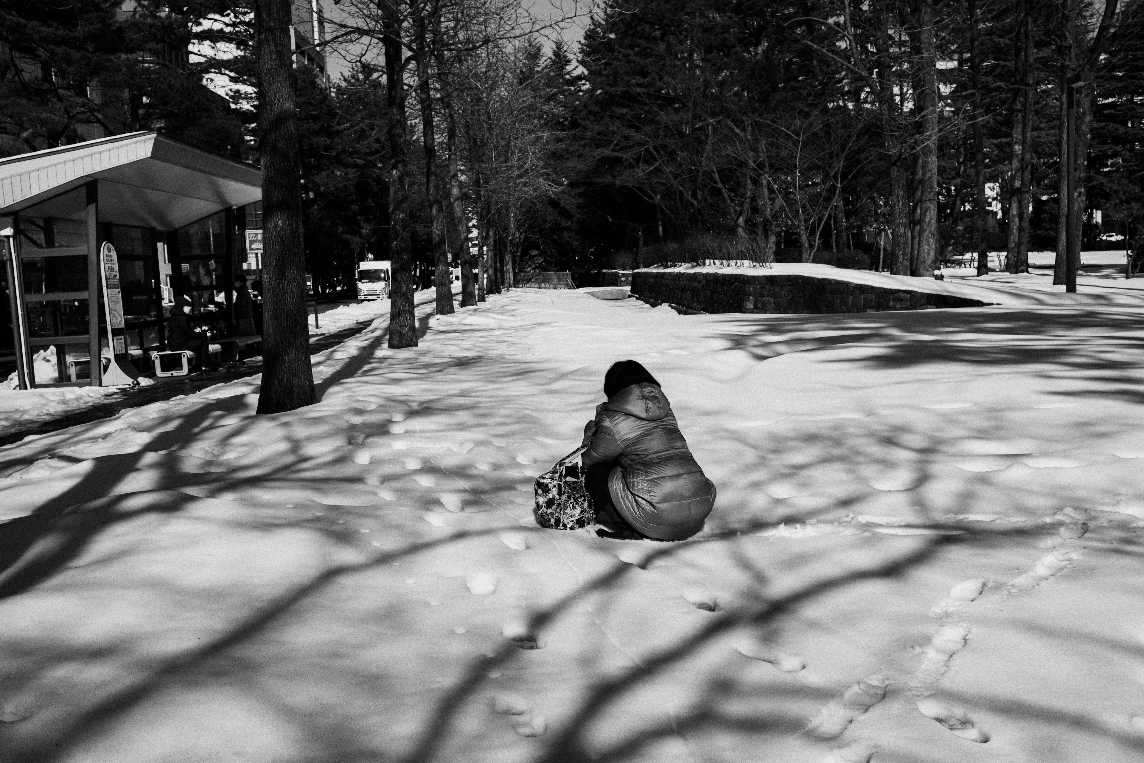 Eine Person sitzt im Schnee in einem Park mit Schatten von Bäumen