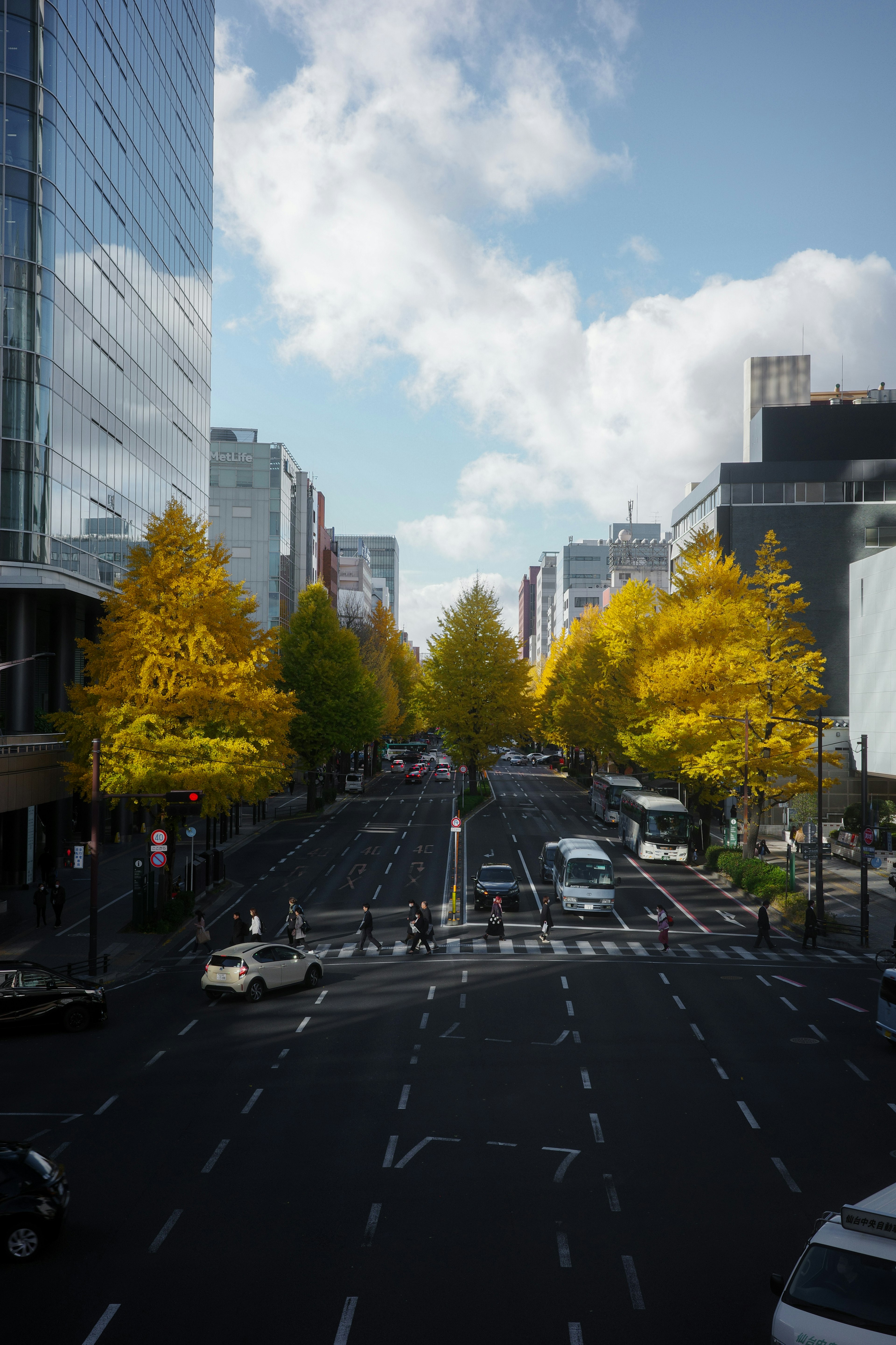 街路沿いの黄色い木々とビルが立ち並ぶ風景