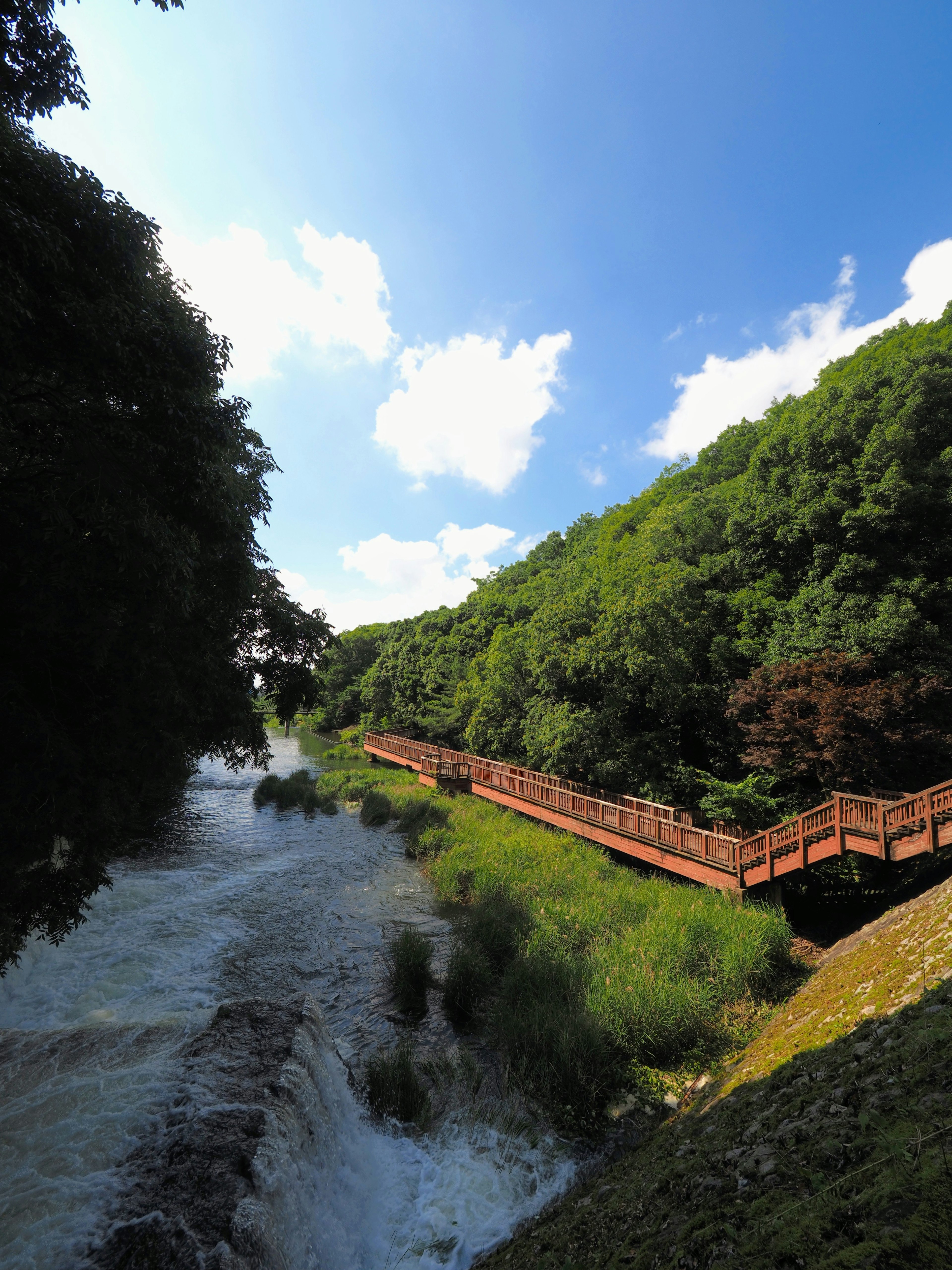 緑豊かな山々と木製の遊歩道が流れる川に沿って広がる風景