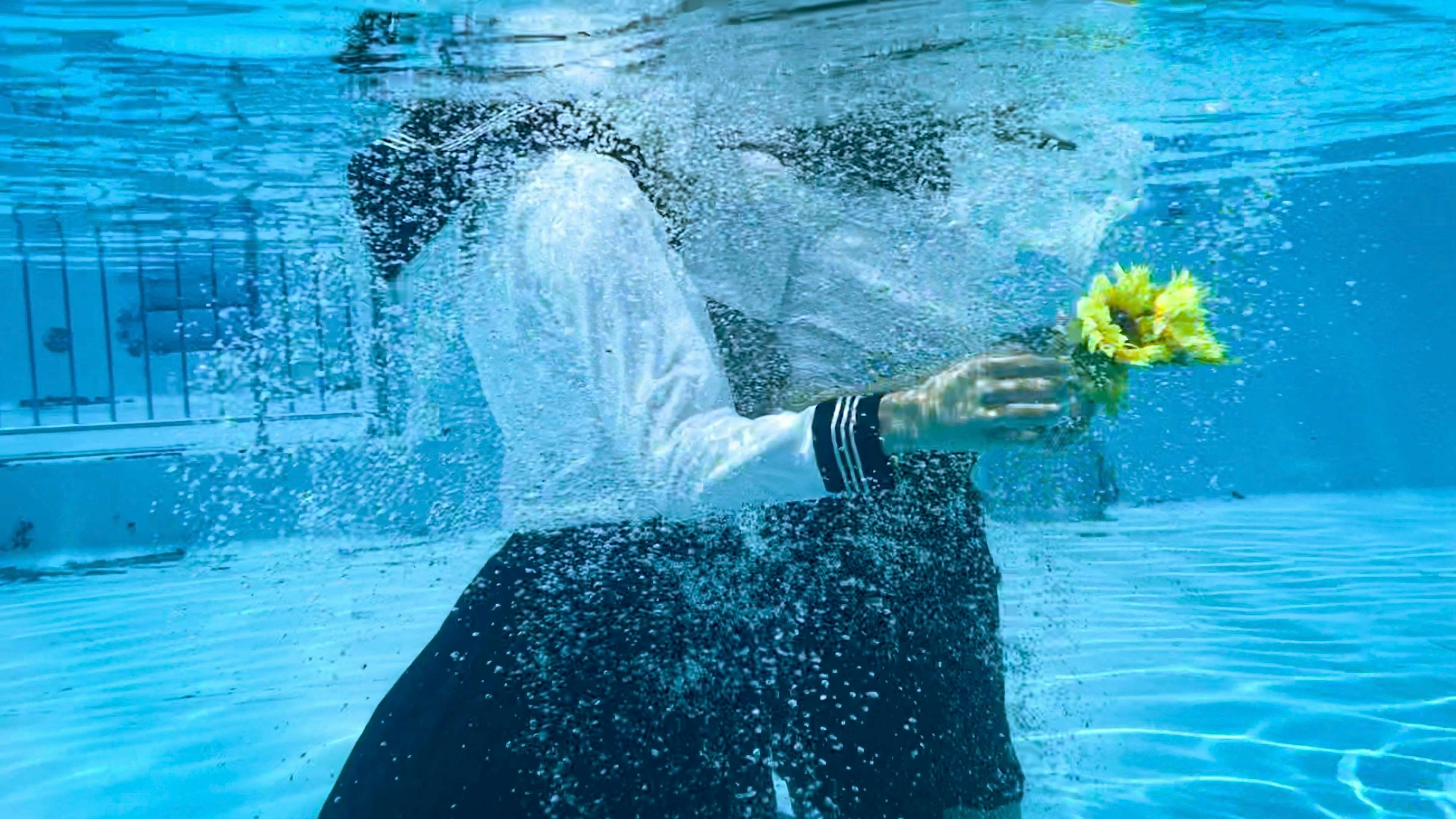 Person underwater holding a flower with bubbles