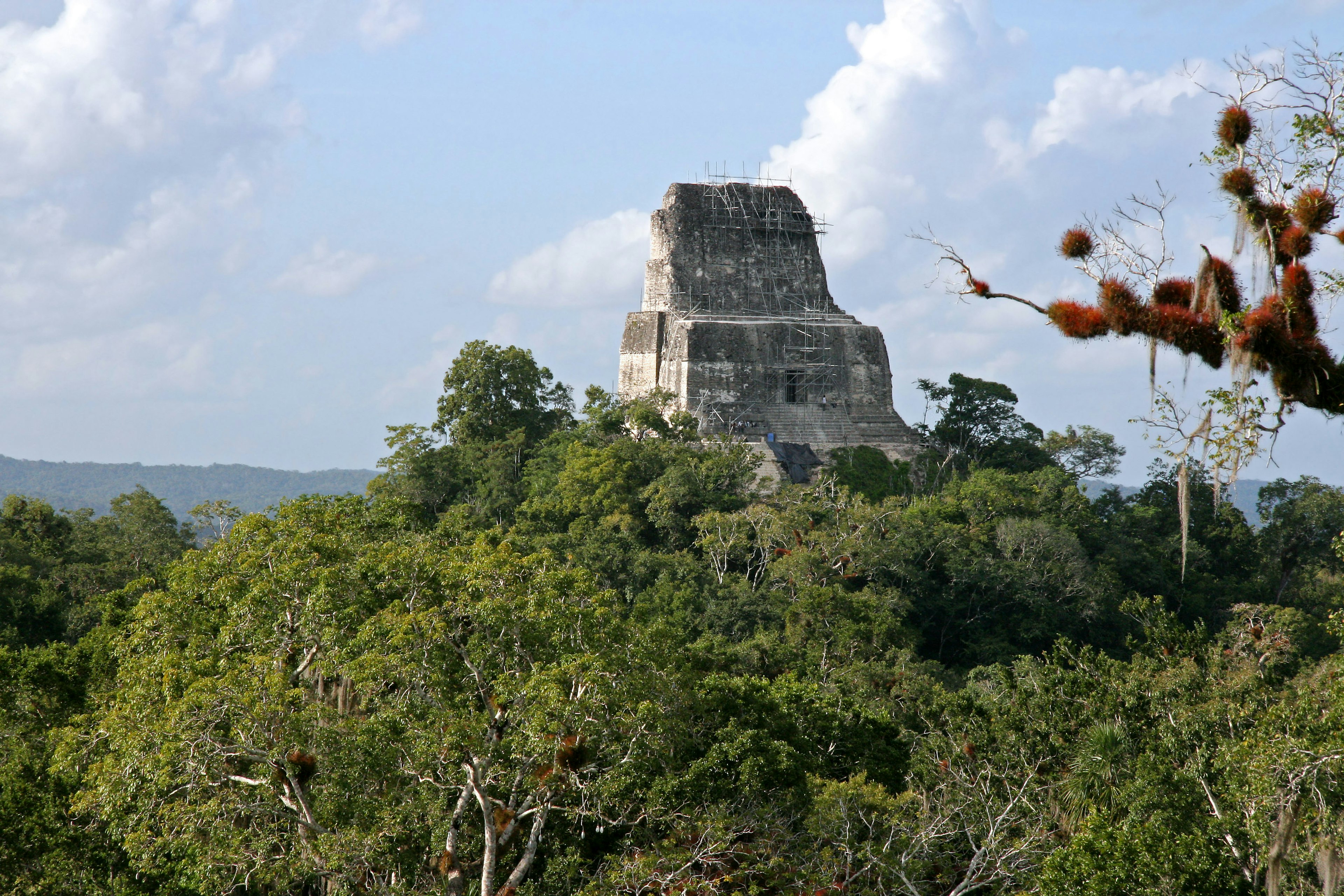 Ancient Mayan temple tower surrounded by jungle