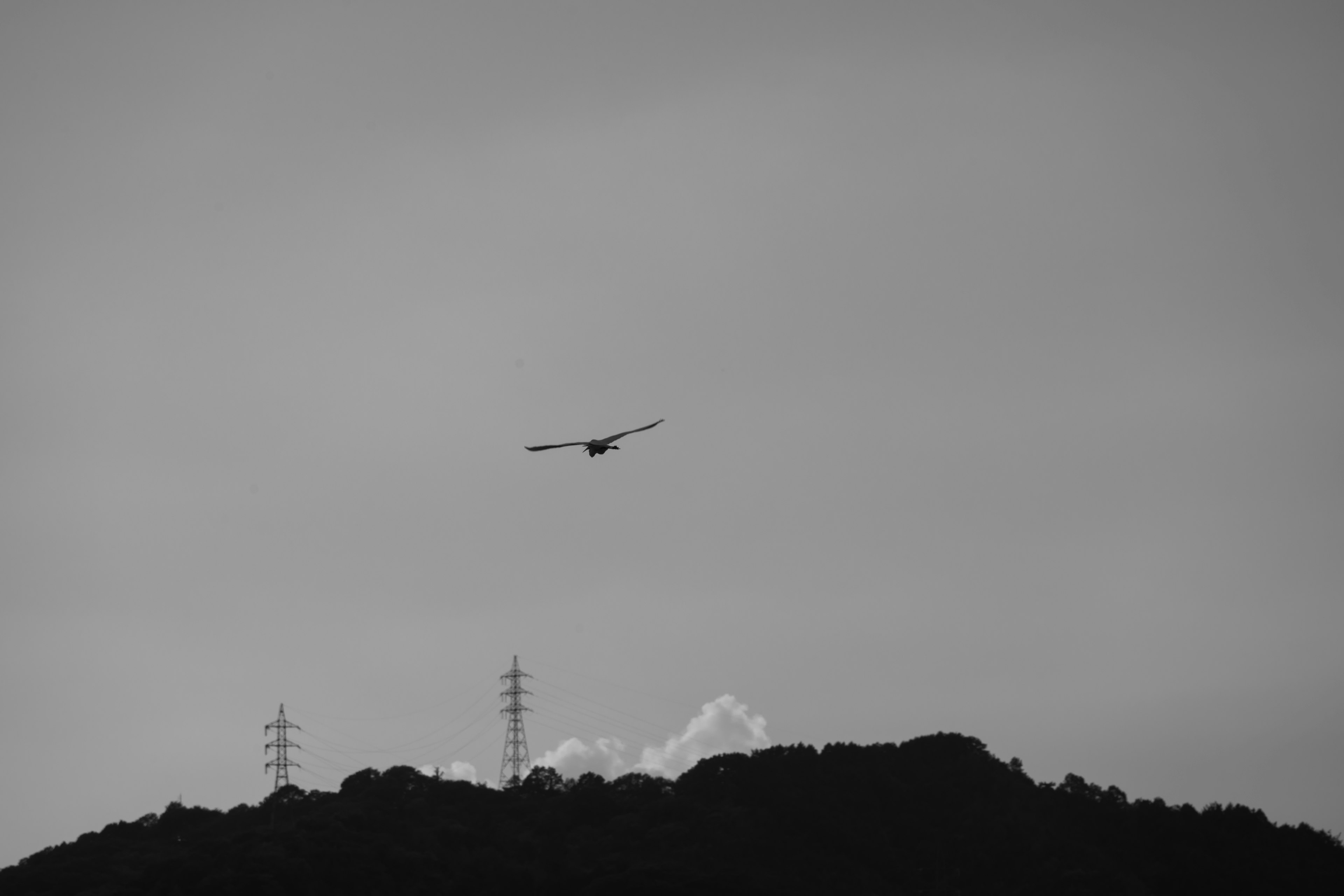 Silhouette di un aereo che vola sopra una montagna paesaggio in bianco e nero