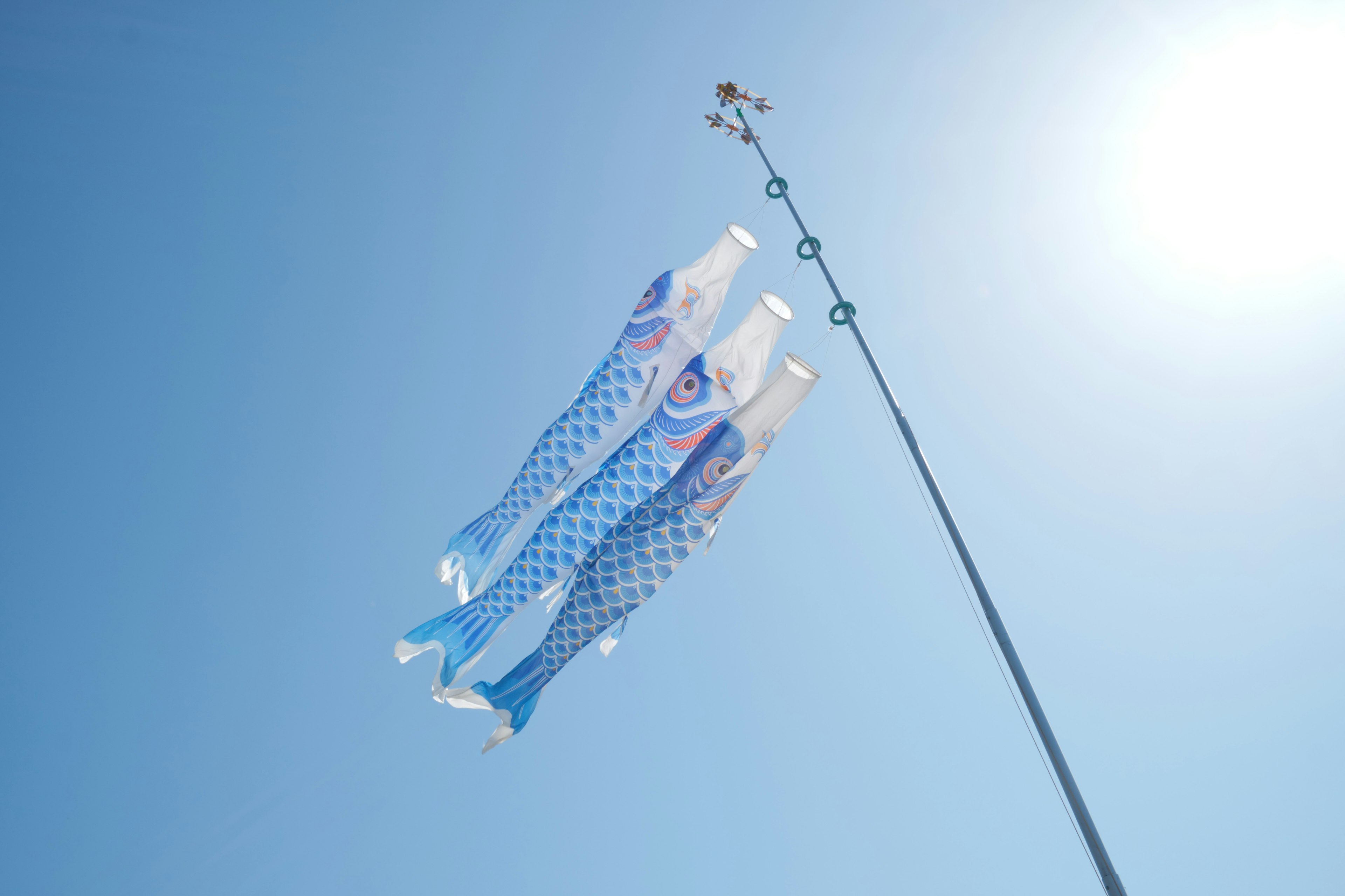 Koi nobori flags fluttering in the wind under a blue sky